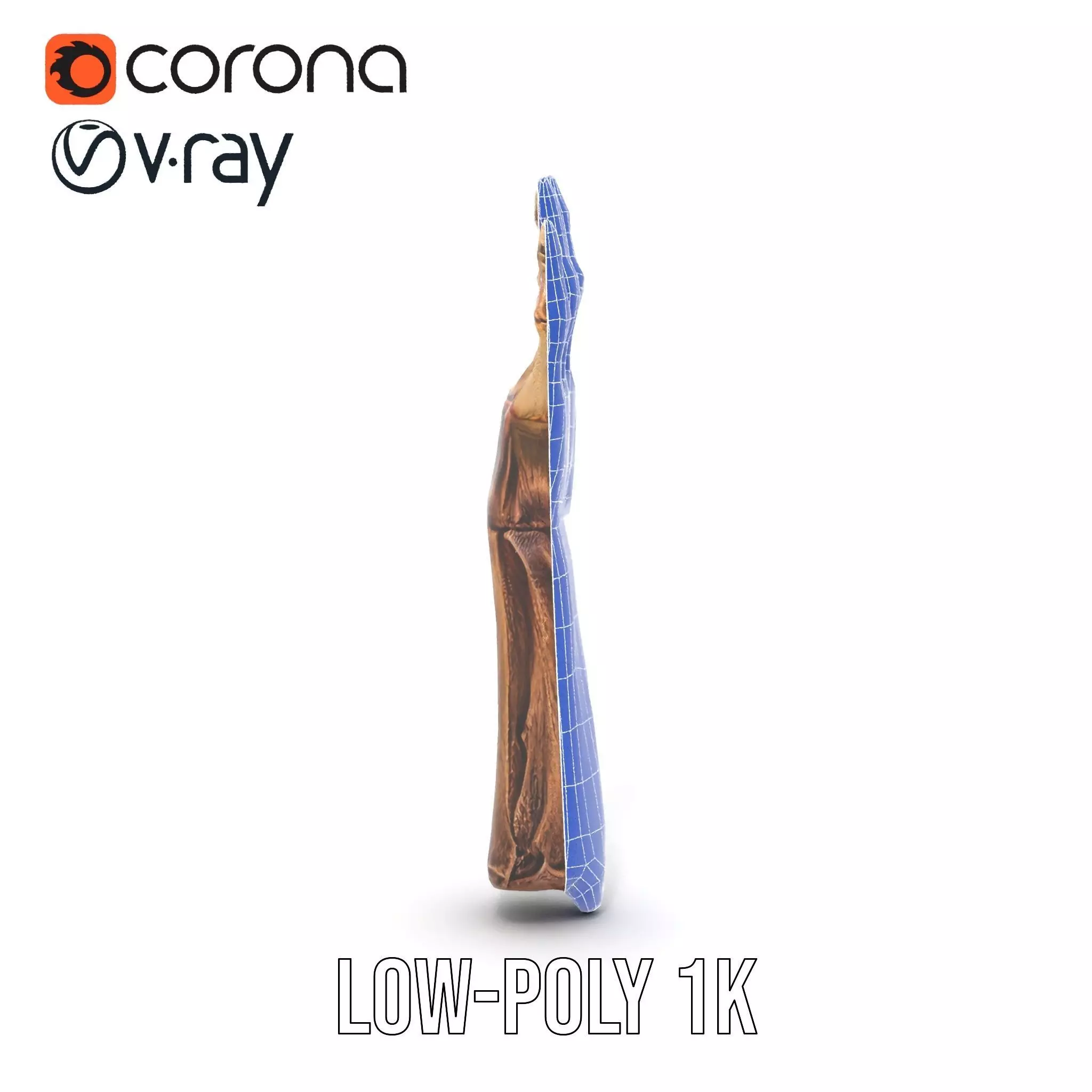 Zombie Hand model pack with detailed textures and bone structure Low-poly 3D model_19