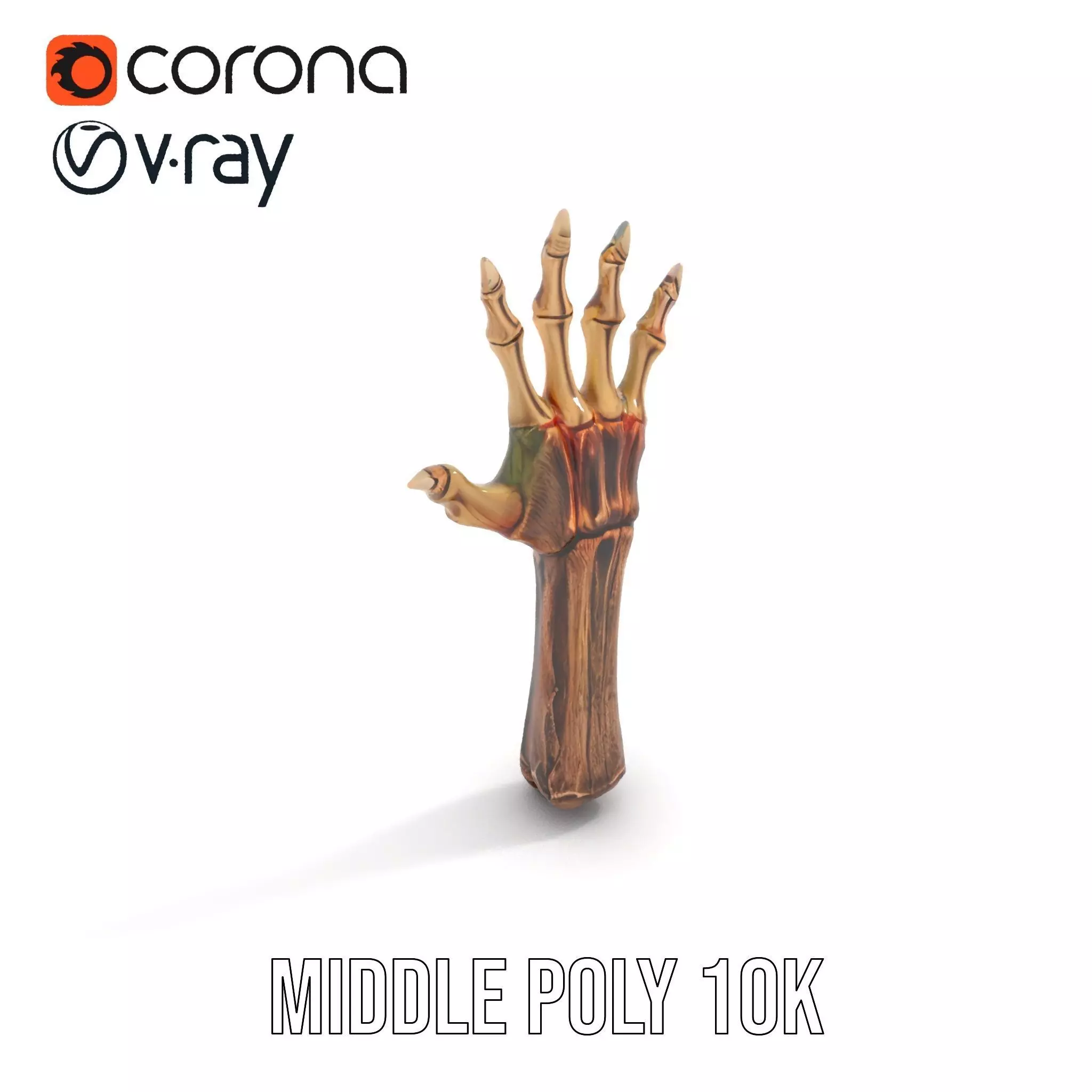 Zombie Hand model pack with detailed textures and bone structure Low-poly 3D model_5