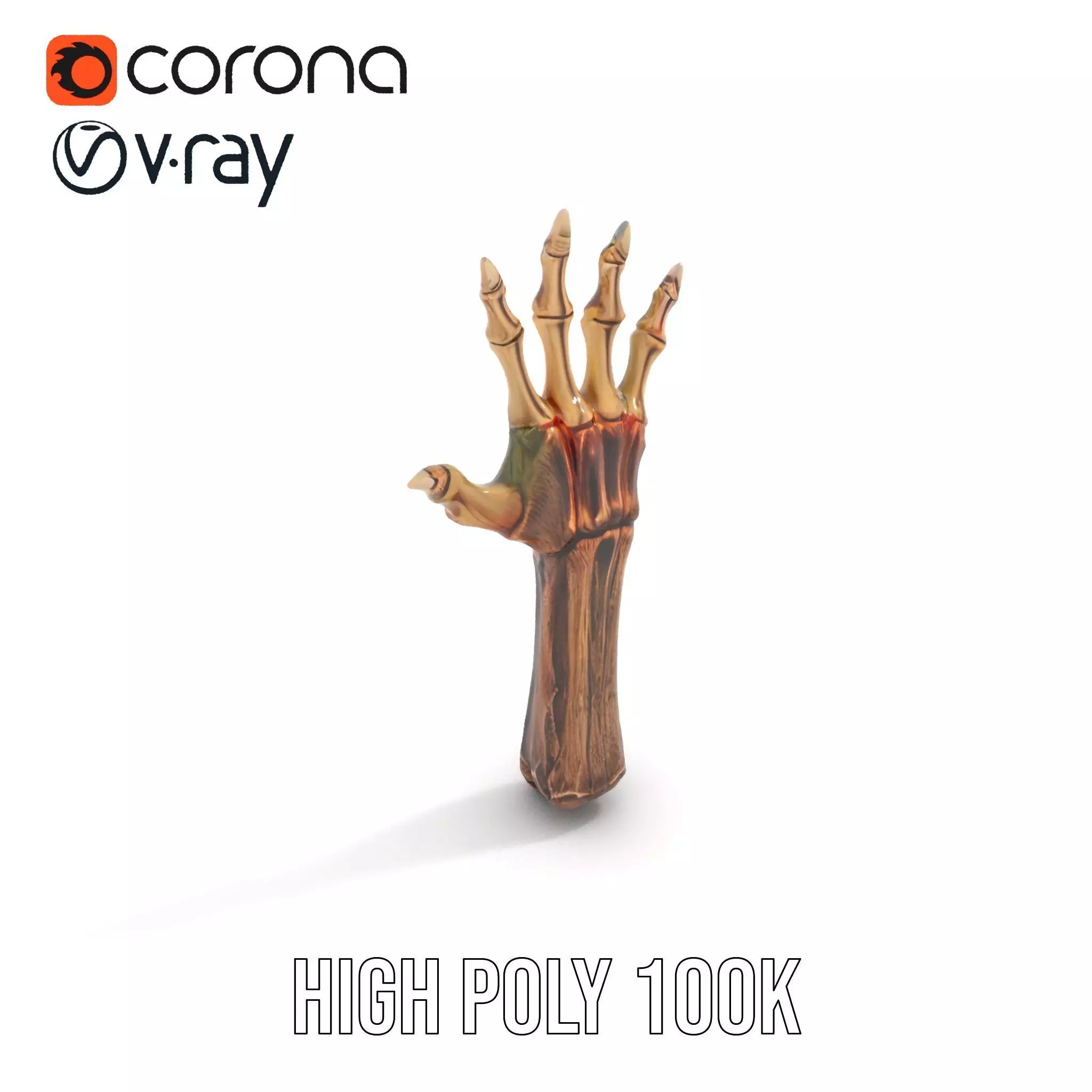 Zombie Hand model pack with detailed textures and bone structure Low-poly 3D model_25