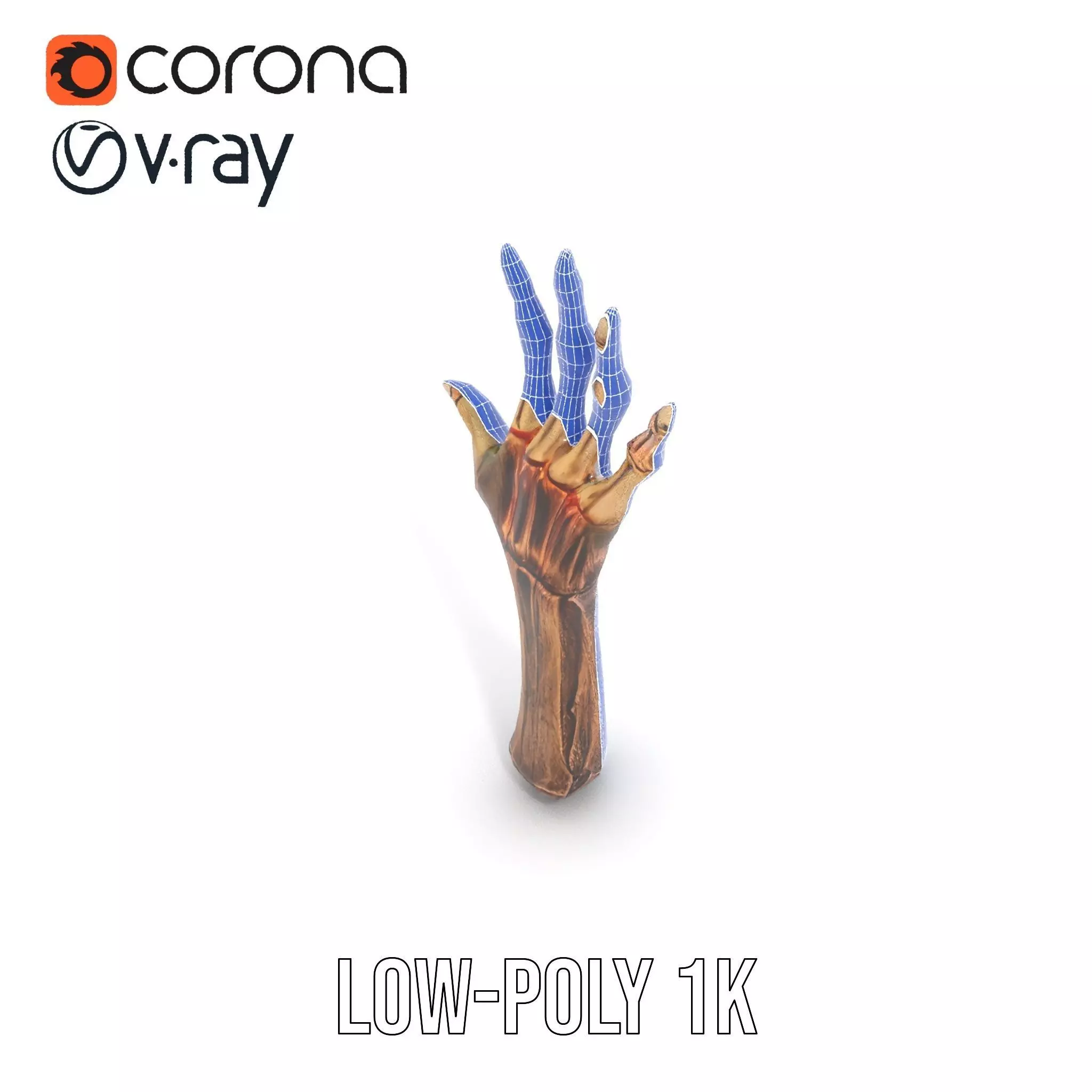 Zombie Hand model pack with detailed textures and bone structure Low-poly 3D model_21