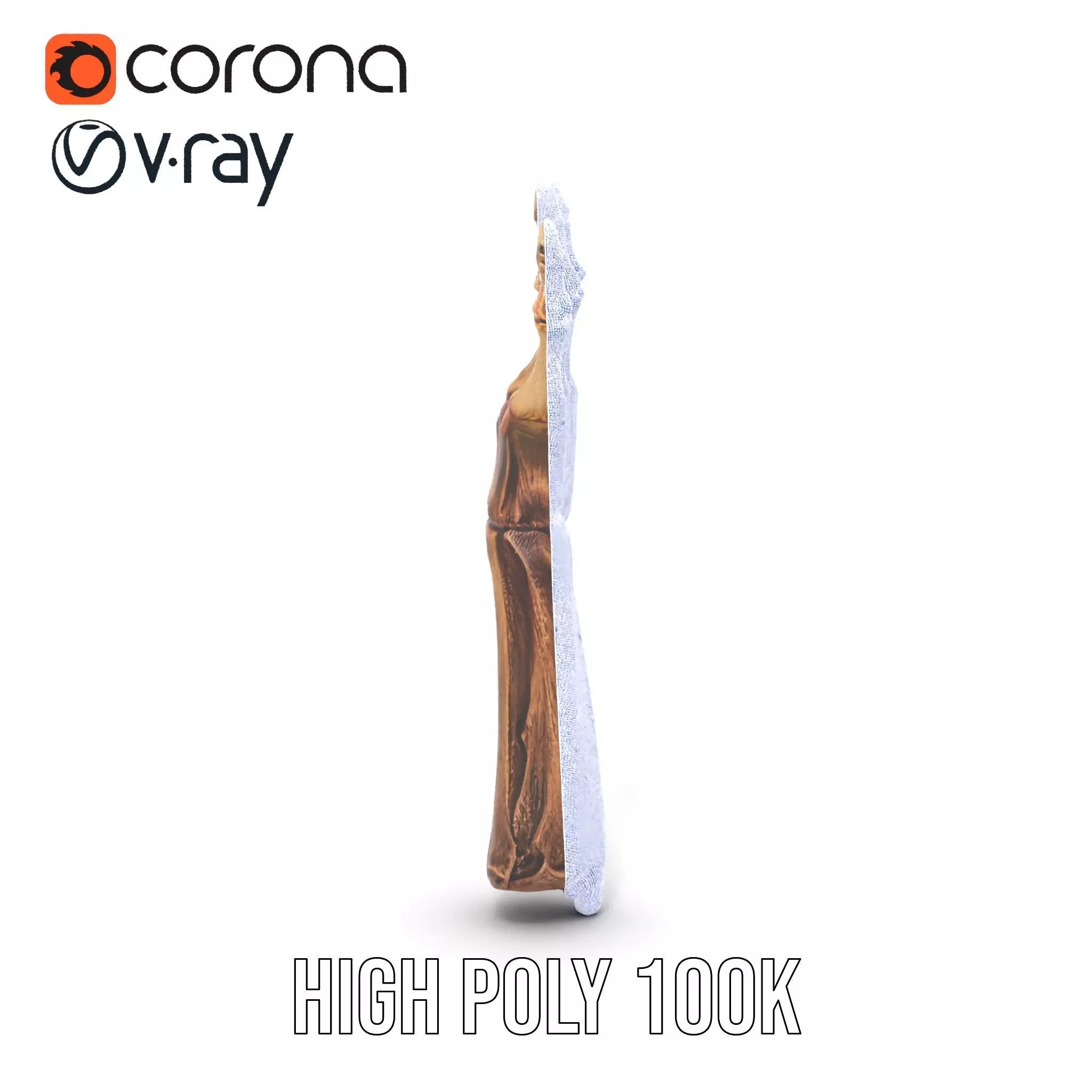 Zombie Hand model pack with detailed textures and bone structure Low-poly 3D model_34