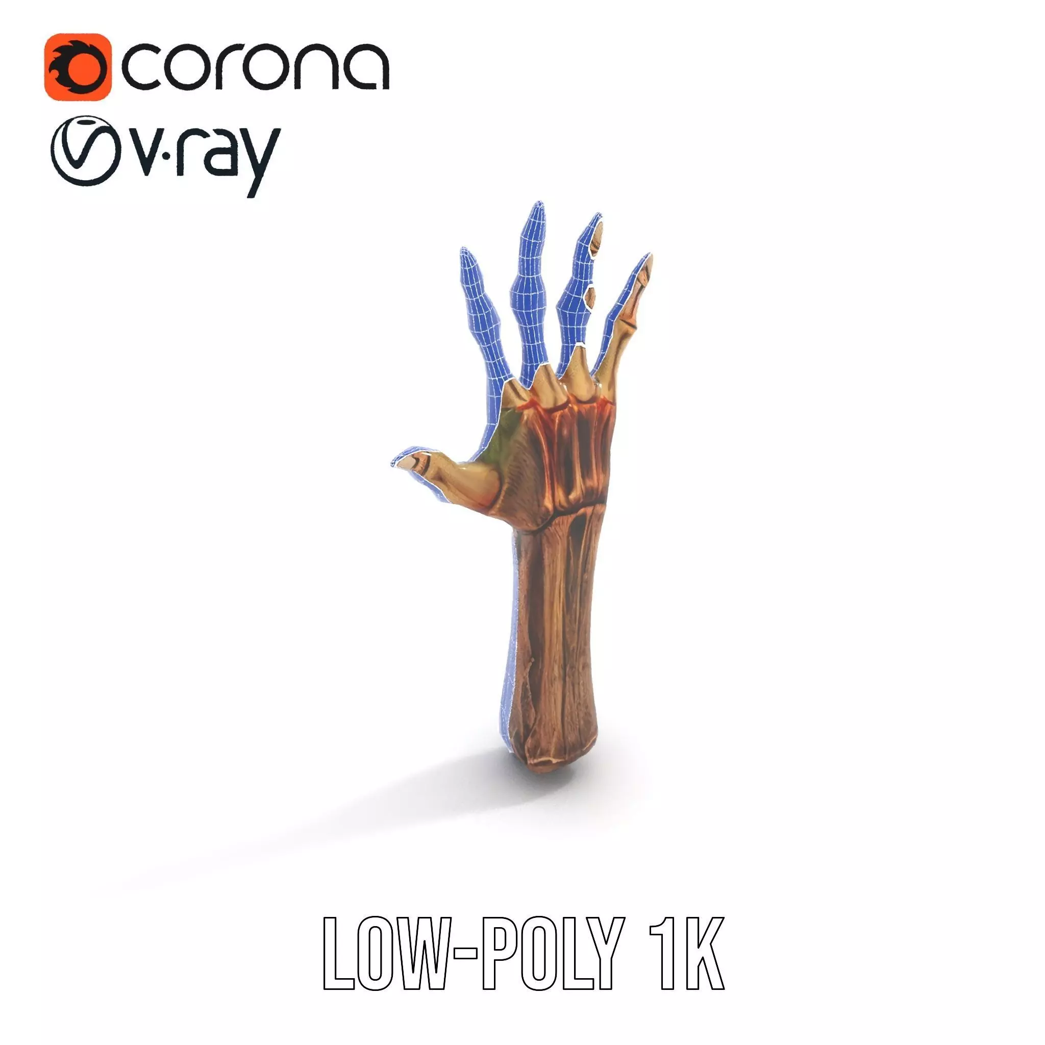 Zombie Hand model pack with detailed textures and bone structure Low-poly 3D model_30