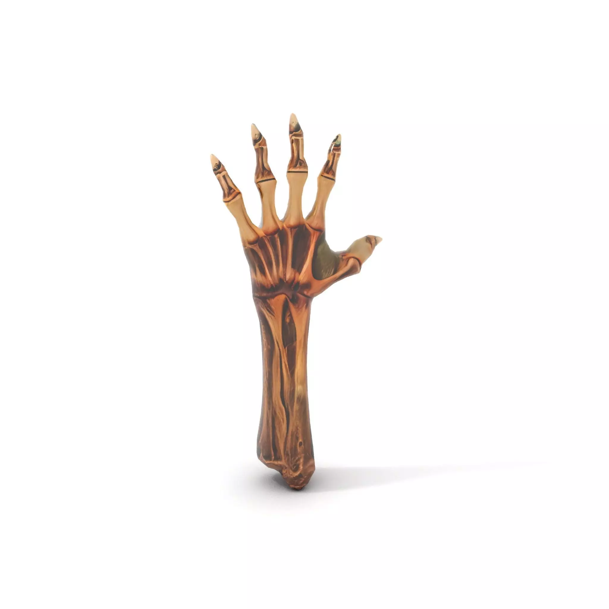 Zombie Hand model pack with detailed textures and bone structure Low-poly 3D model_27