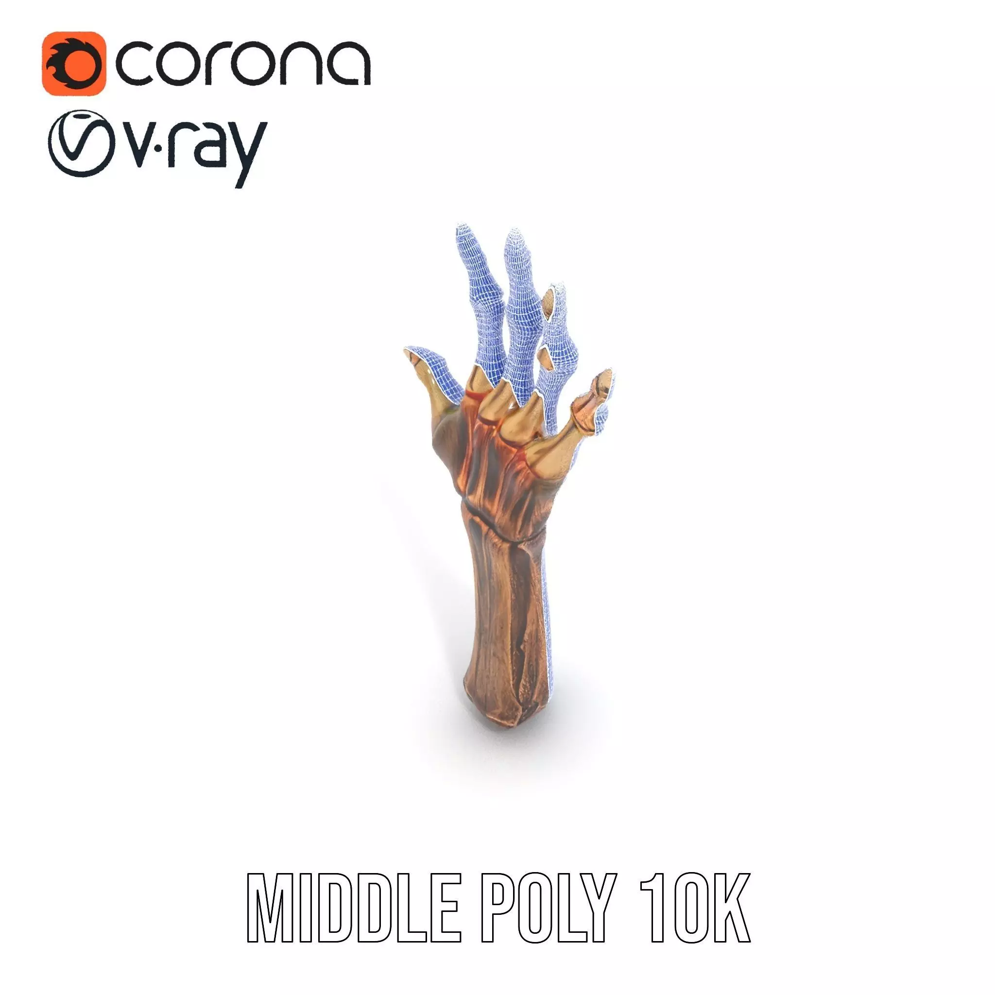 Zombie Hand model pack with detailed textures and bone structure Low-poly 3D model_26