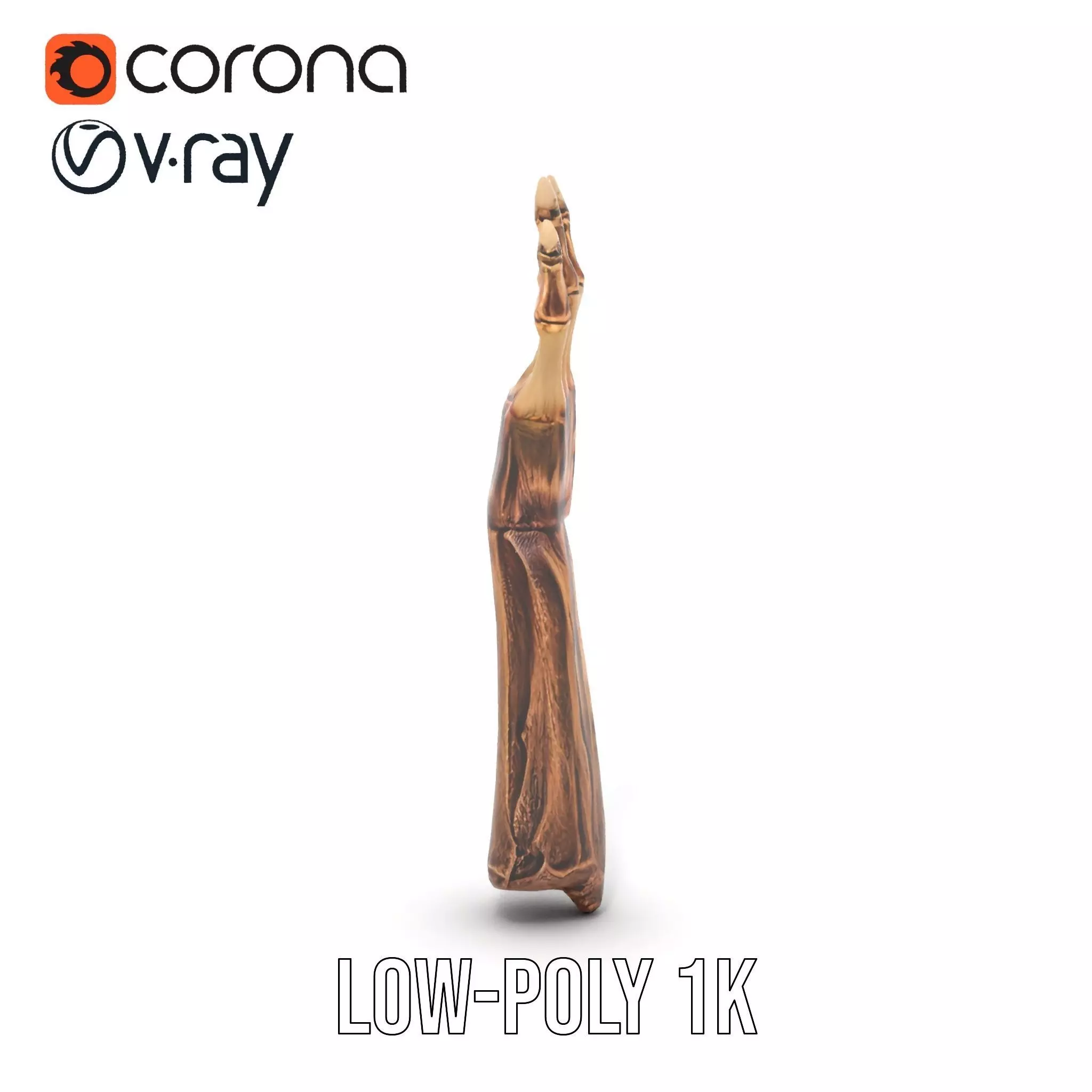 Zombie Hand model pack with detailed textures and bone structure Low-poly 3D model_11