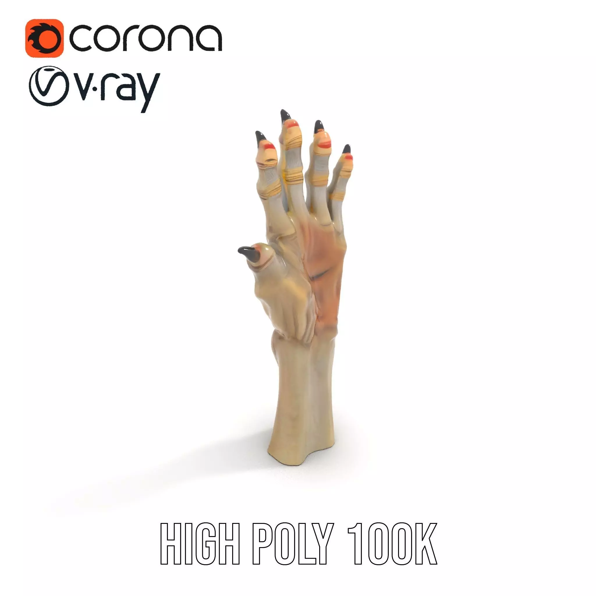Fantasy Creature Hand Claw Model Pack Low-poly 3D model_17