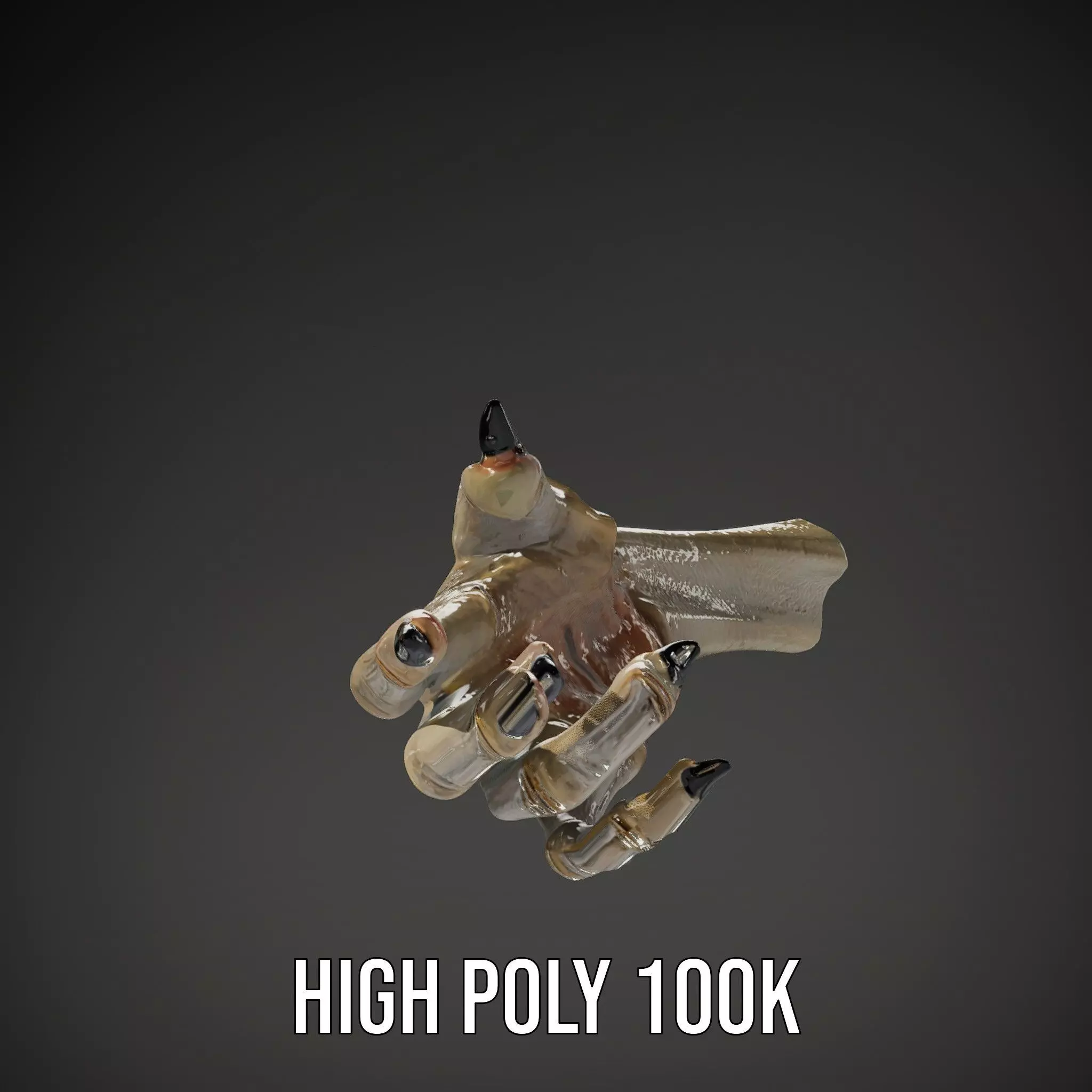 Fantasy Creature Hand Claw Model Pack Low-poly 3D model_34