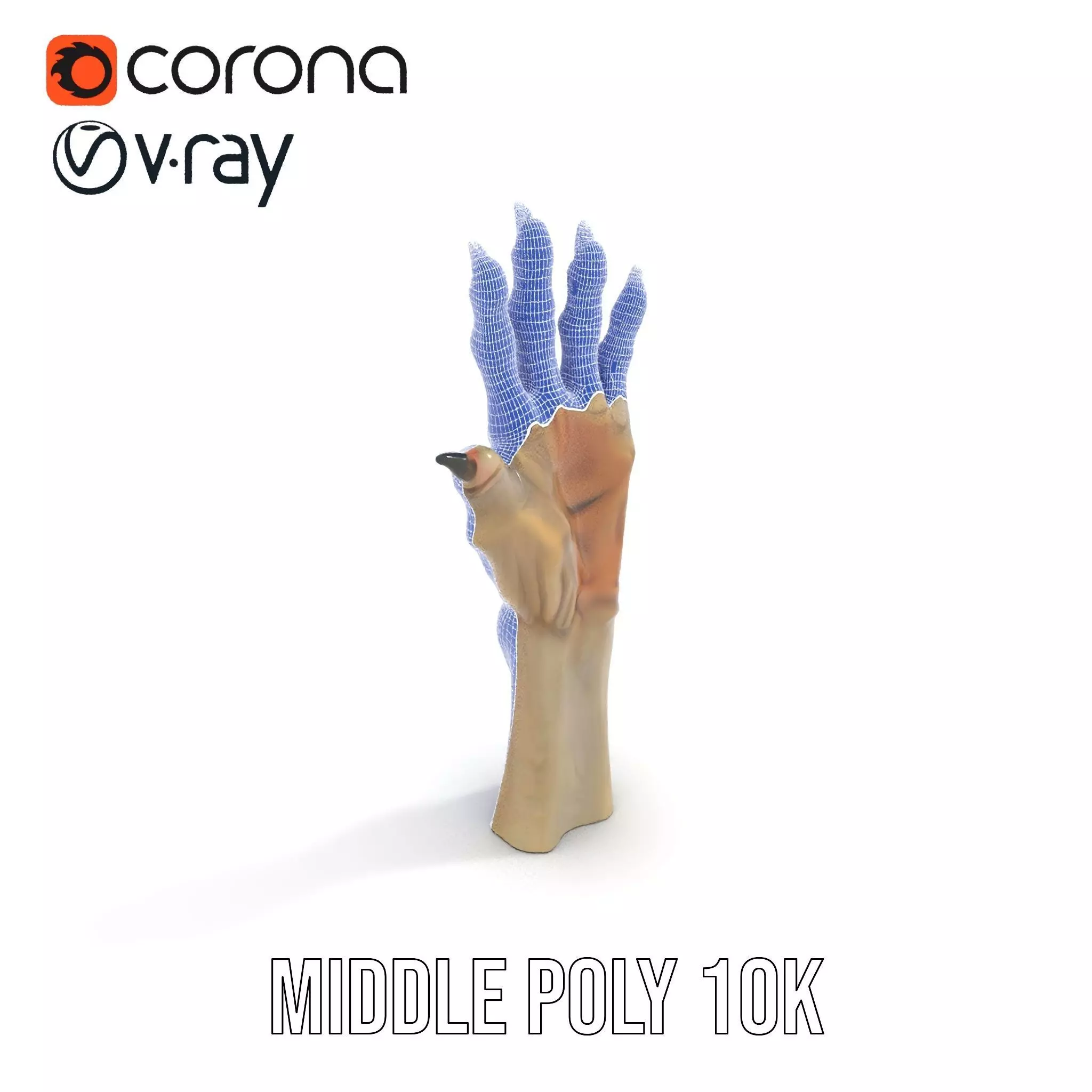 Fantasy Creature Hand Claw Model Pack Low-poly 3D model_21
