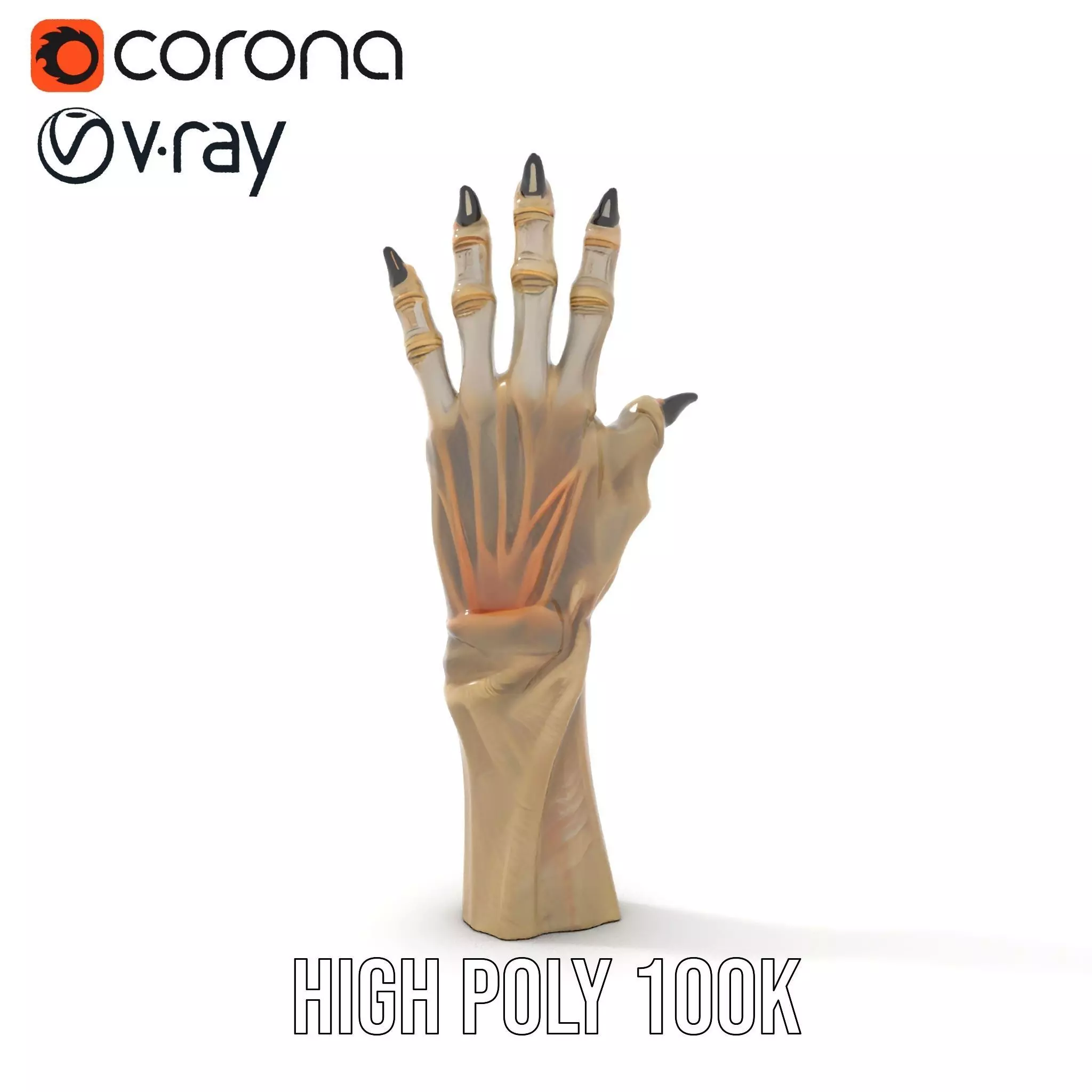 Fantasy Creature Hand Claw Model Pack Low-poly 3D model_11