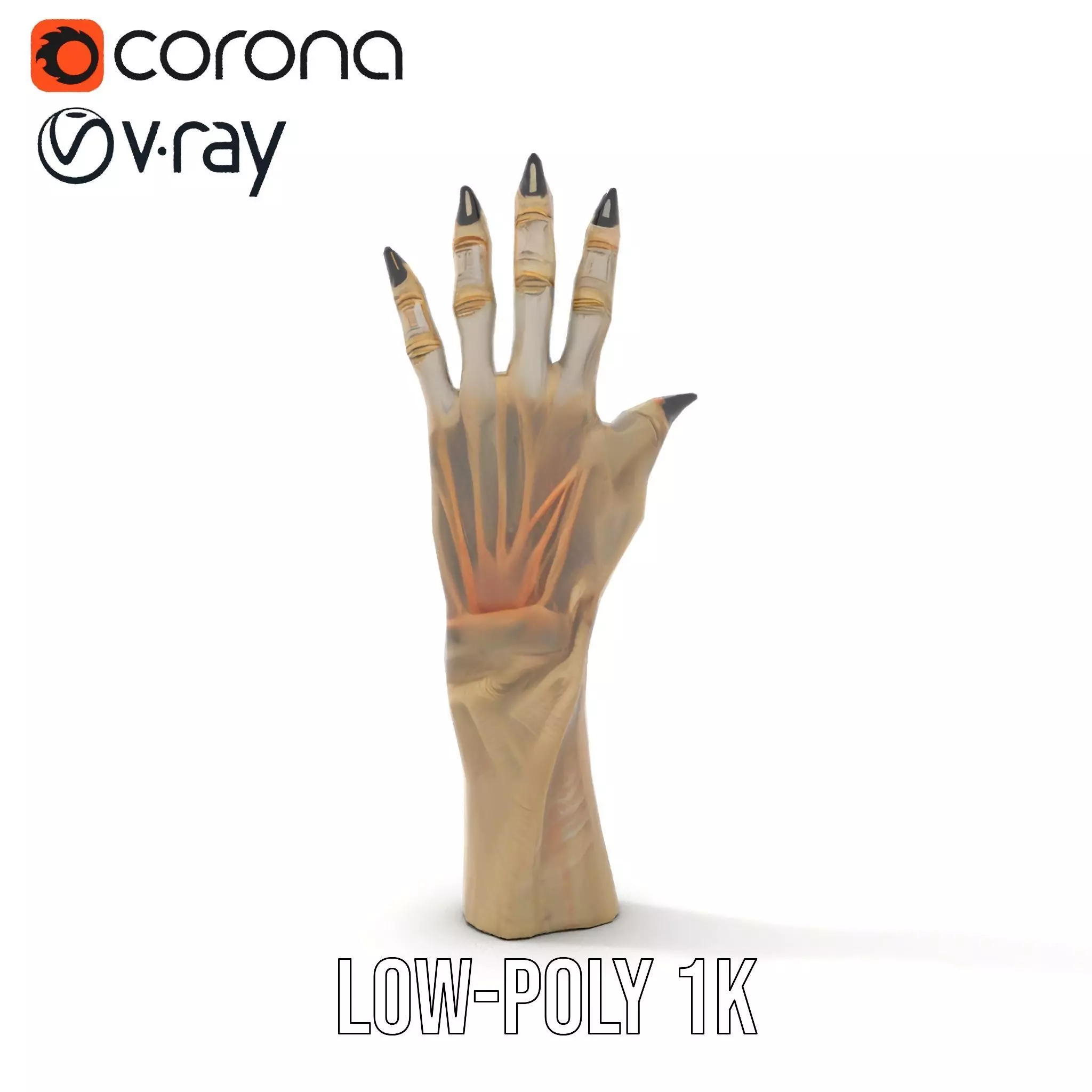 Fantasy Creature Hand Claw Model Pack Low-poly 3D model_8
