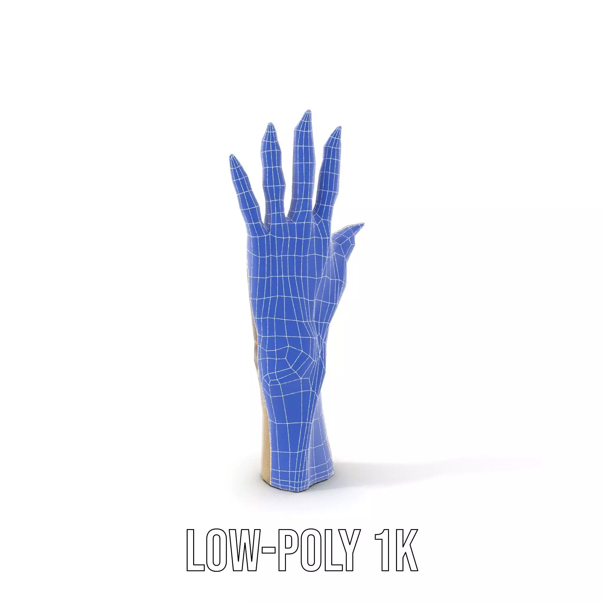 Fantasy Creature Hand Claw Model Pack Low-poly 3D model_13