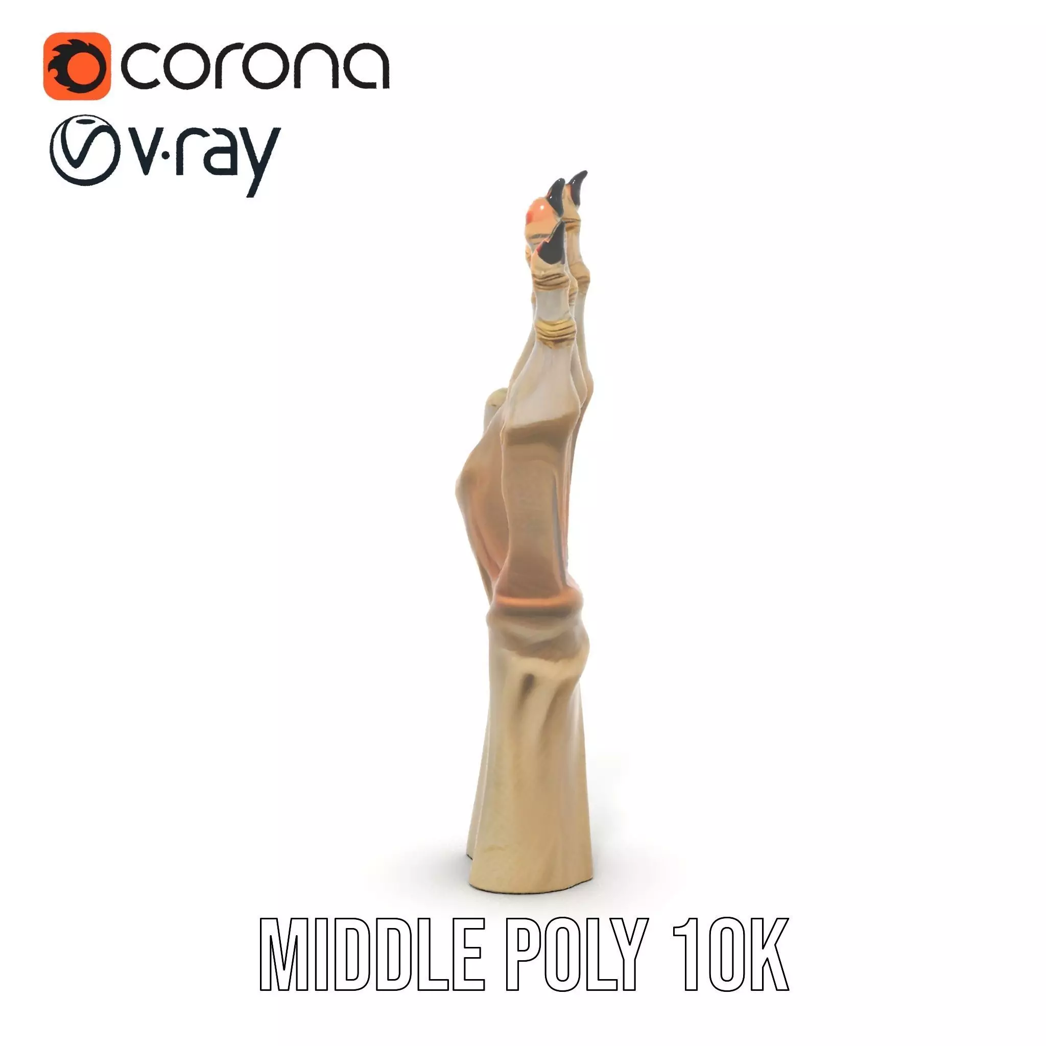 Fantasy Creature Hand Claw Model Pack Low-poly 3D model_5