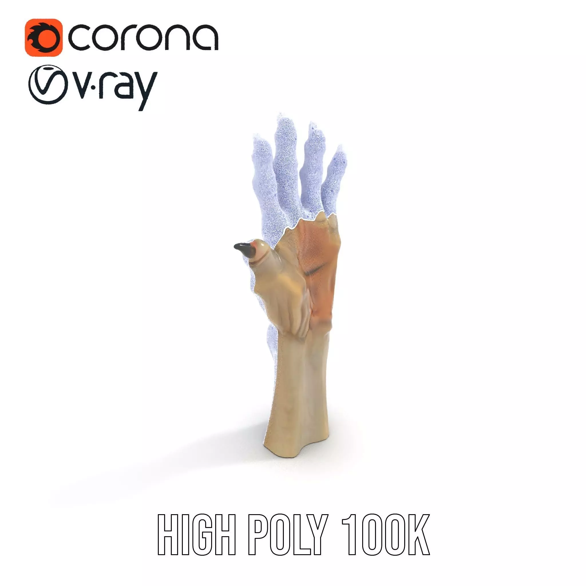 Fantasy Creature Hand Claw Model Pack Low-poly 3D model_23