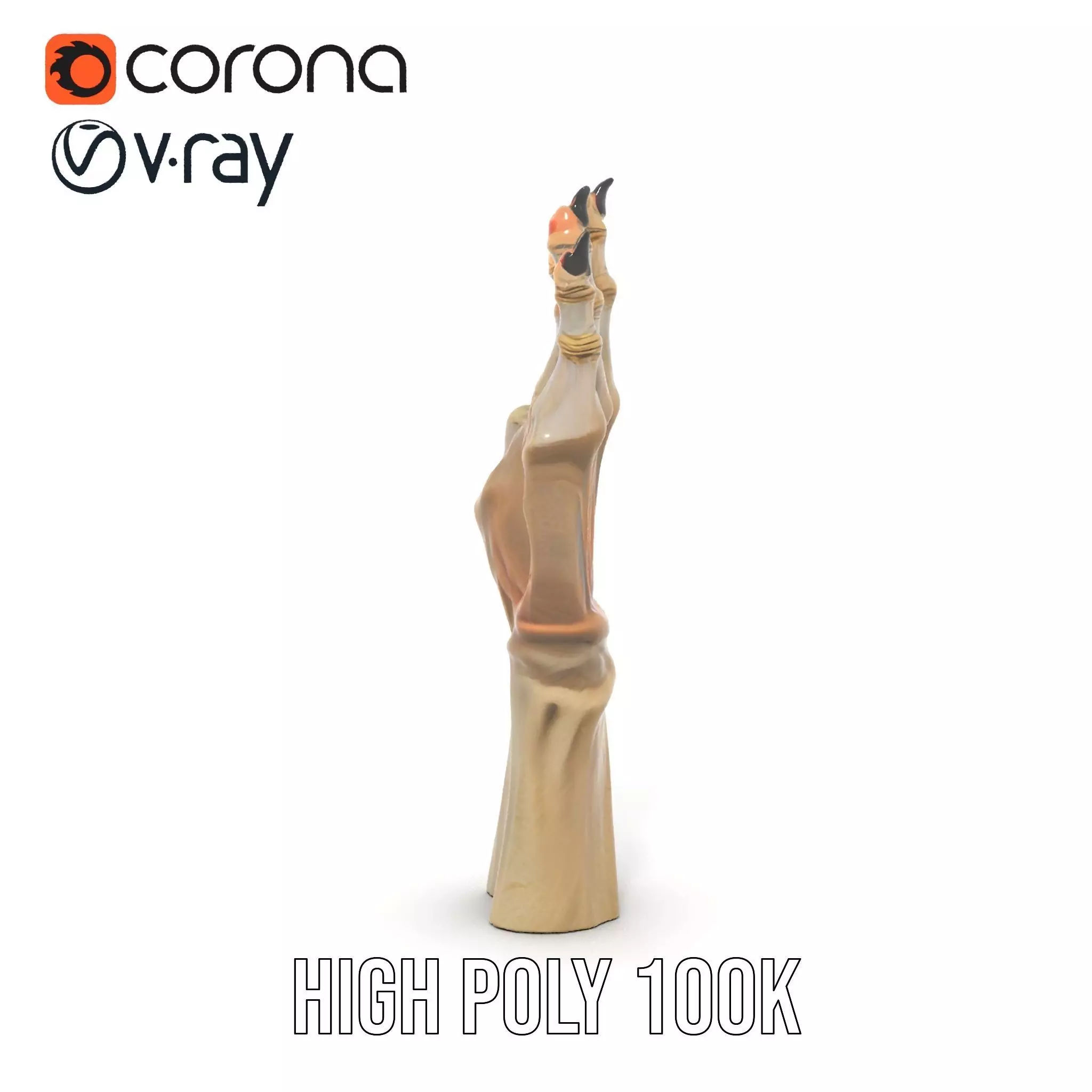 Fantasy Creature Hand Claw Model Pack Low-poly 3D model_20