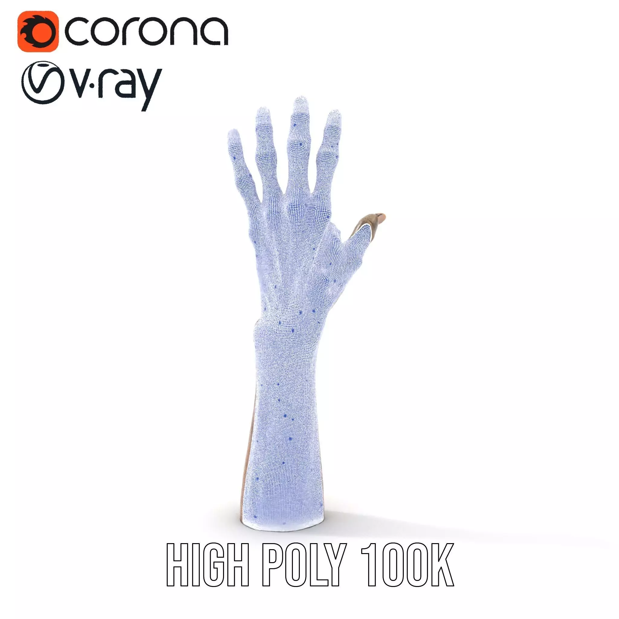 Zombie Hand model pack with detailed textures Low-poly 3D model_14