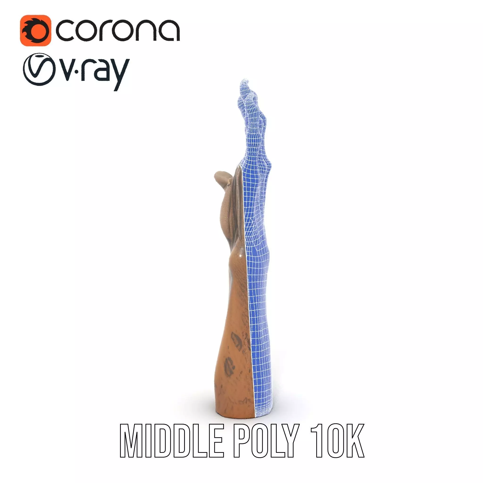 Zombie Hand model pack with detailed textures Low-poly 3D model_27