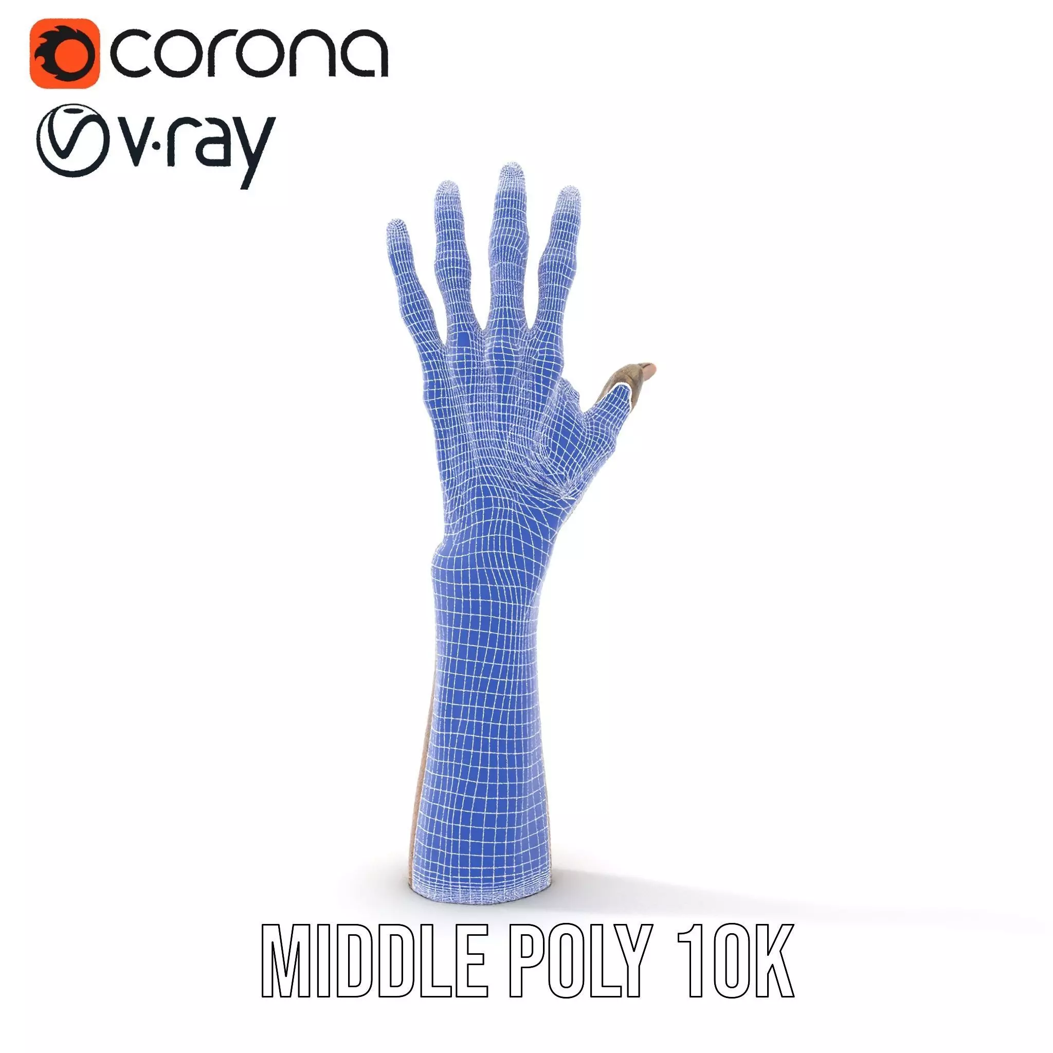 Zombie Hand model pack with detailed textures Low-poly 3D model_30