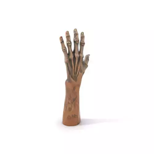 Zombie Hand model pack with detailed textures Low-poly 3D model
