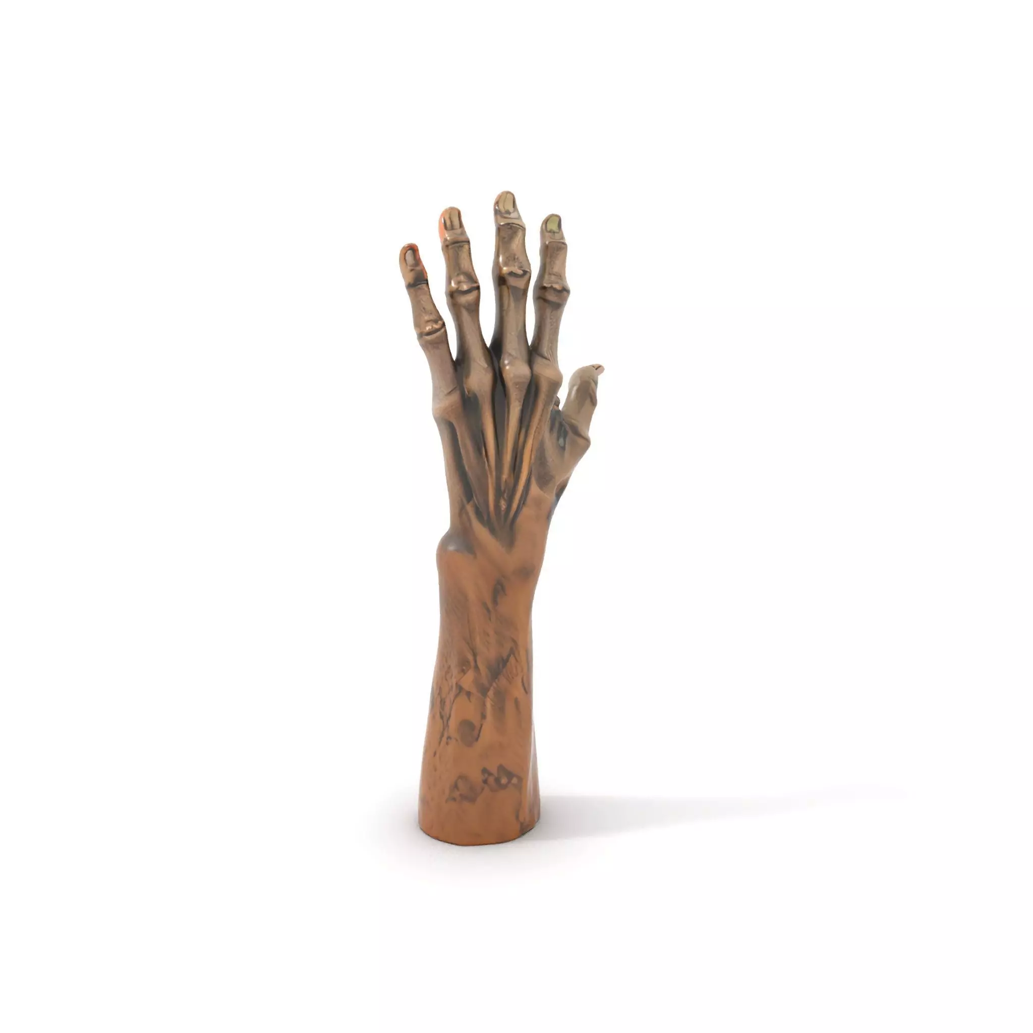 Zombie Hand model pack with detailed textures Low-poly 3D model_0