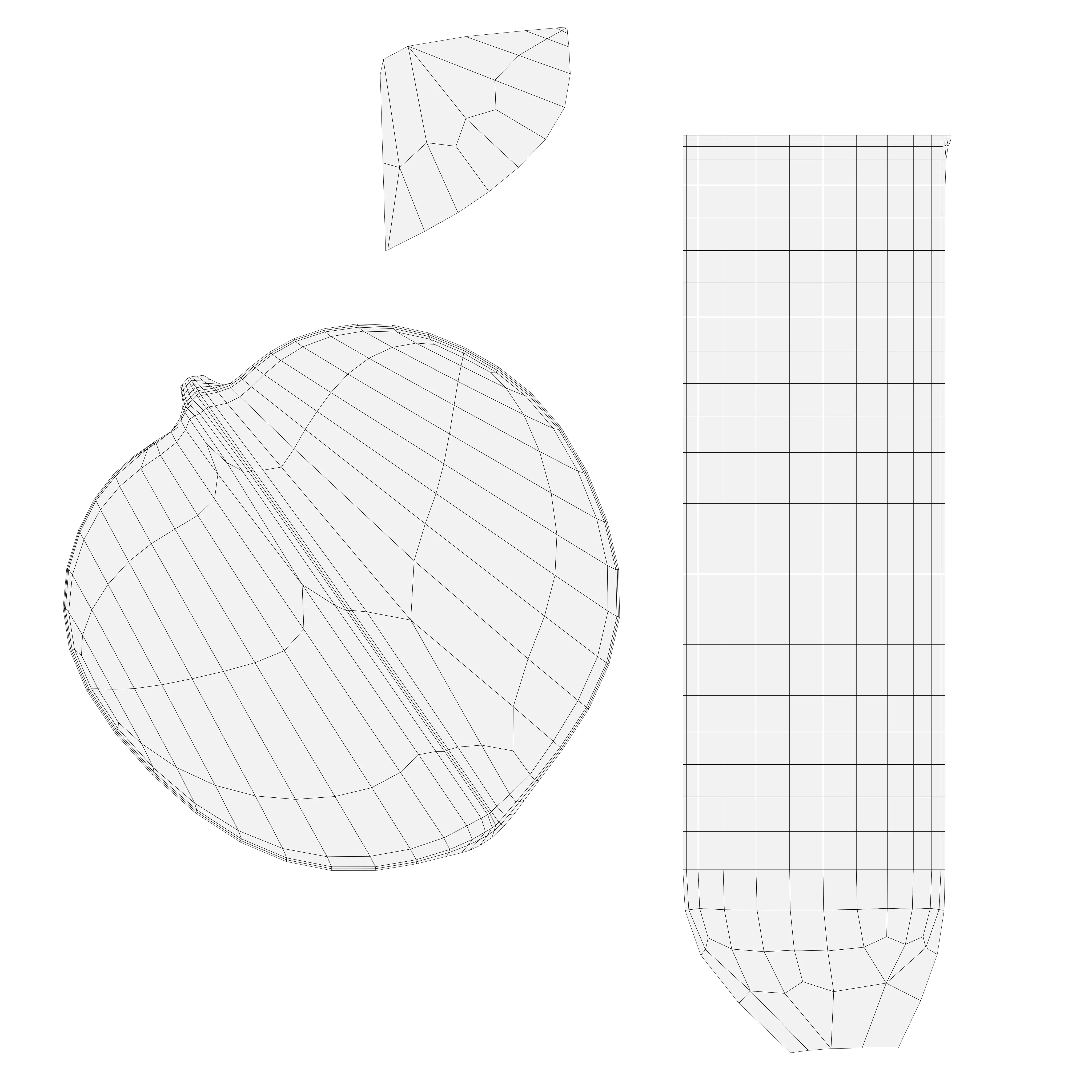 Tomatoes 01 3D model_13