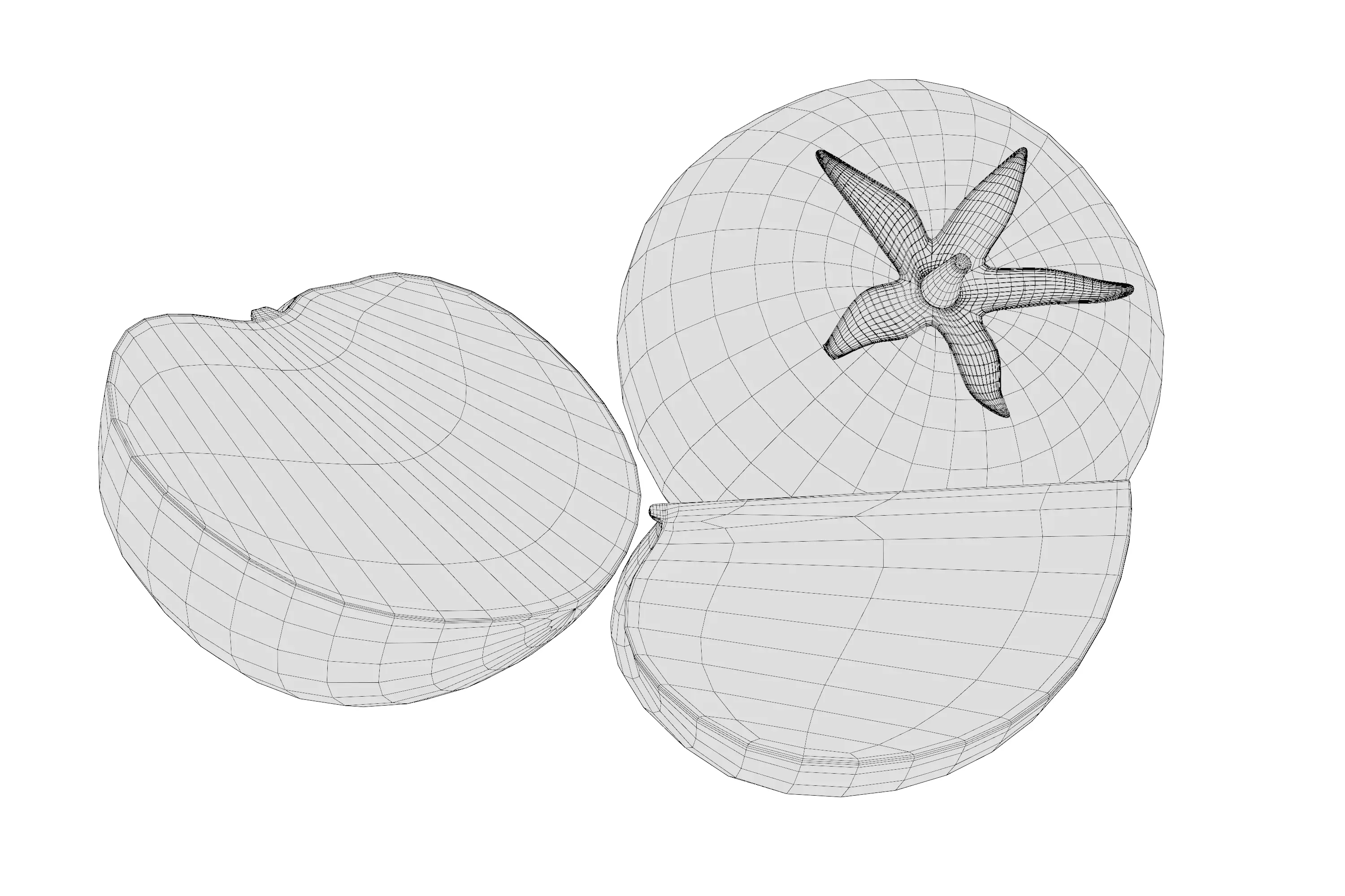 Tomatoes 01 3D model_6