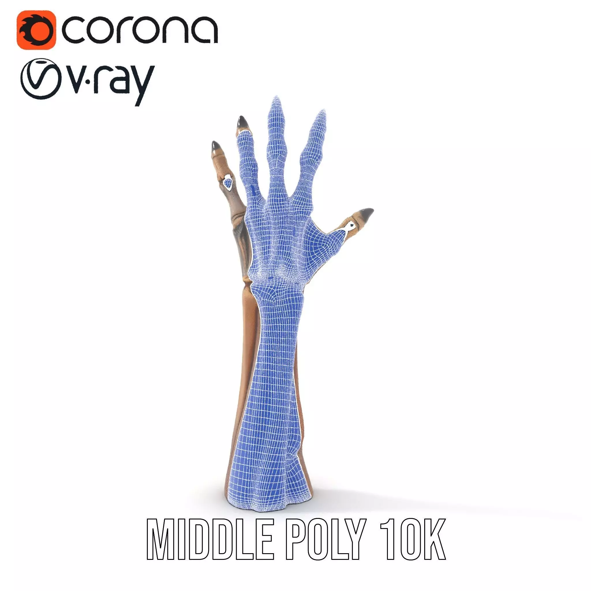 Skeletal Hand Claw Model Pack Low-poly 3D model_24
