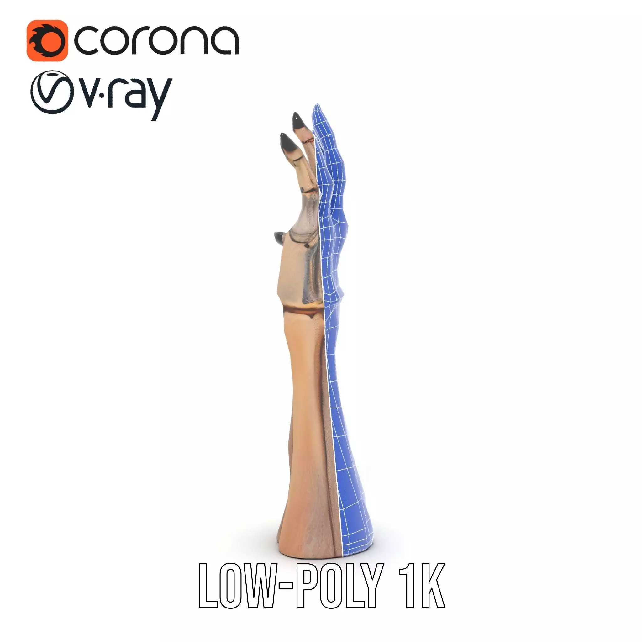 Skeletal Hand Claw Model Pack Low-poly 3D model_16