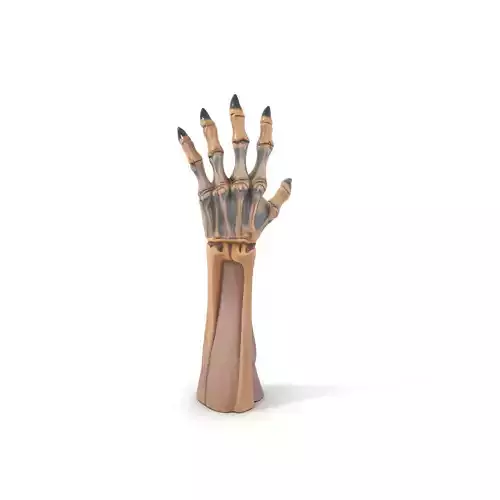Skeletal Hand Claw Model Pack Low-poly 3D model