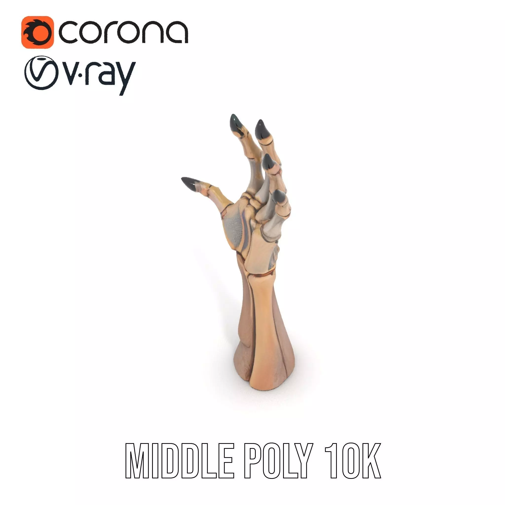 Skeletal Hand Claw Model Pack Low-poly 3D model_13