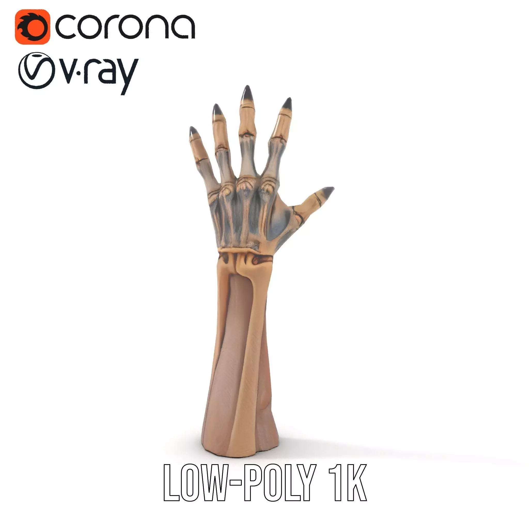 Skeletal Hand Claw Model Pack Low-poly 3D model_11