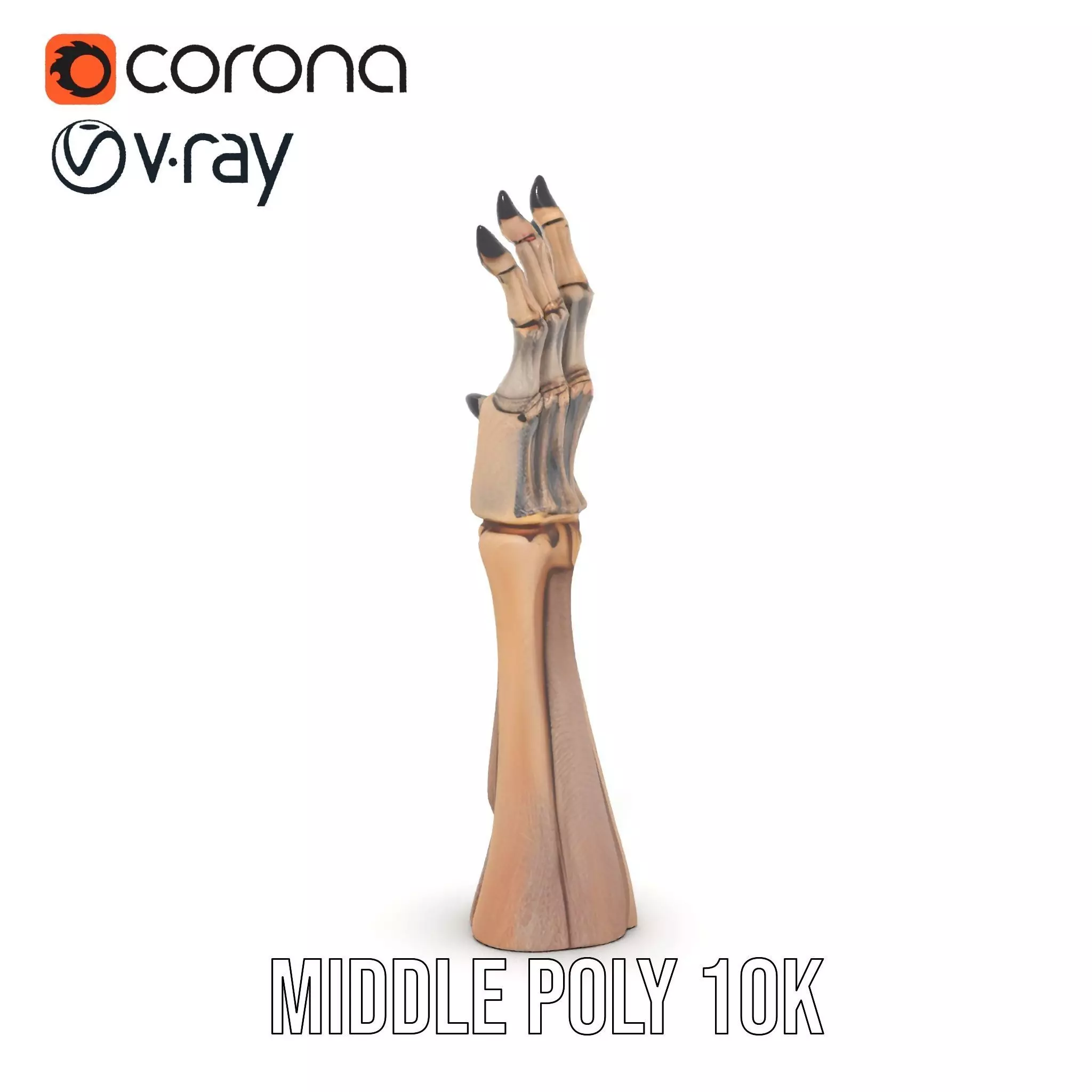 Skeletal Hand Claw Model Pack Low-poly 3D model_18