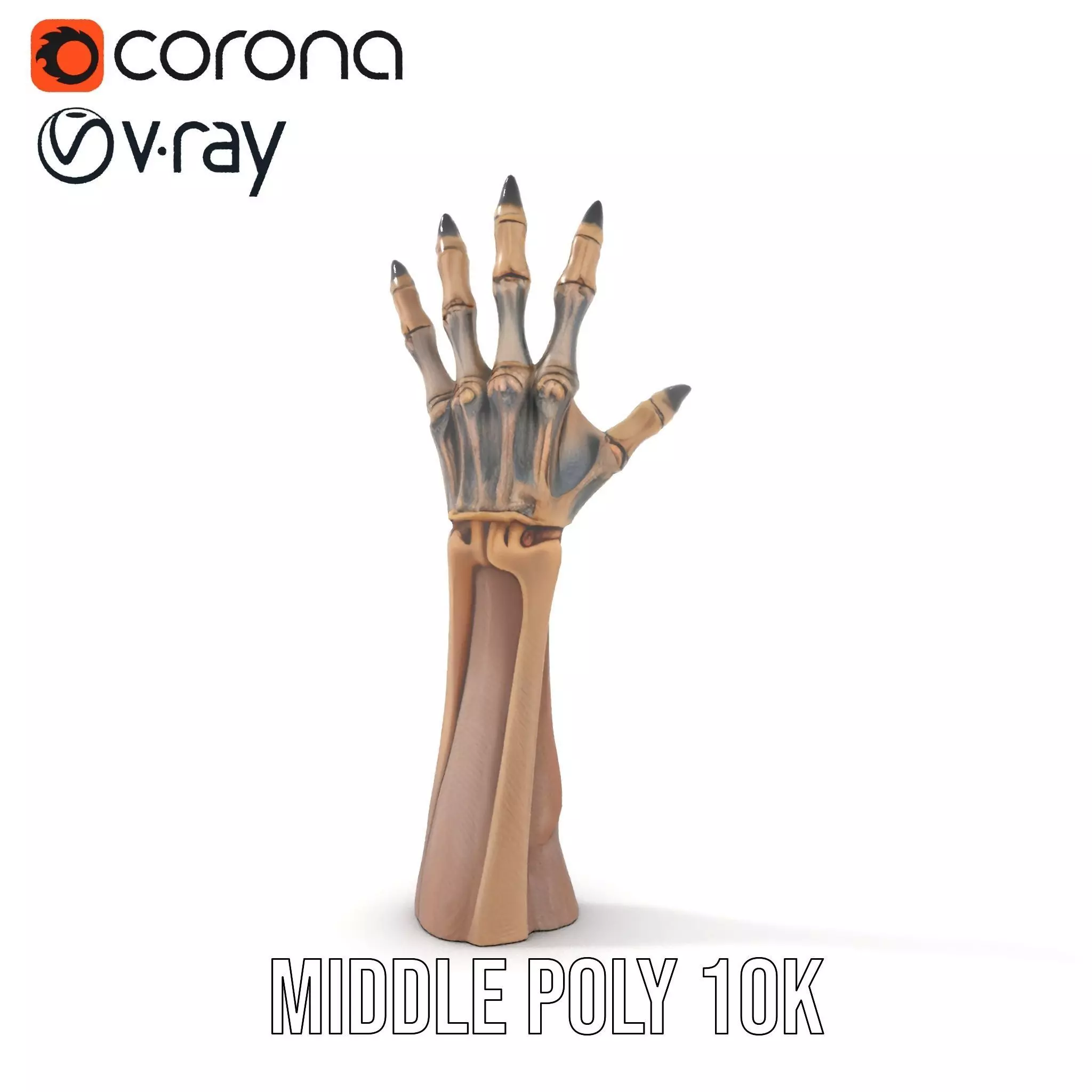 Skeletal Hand Claw Model Pack Low-poly 3D model_6