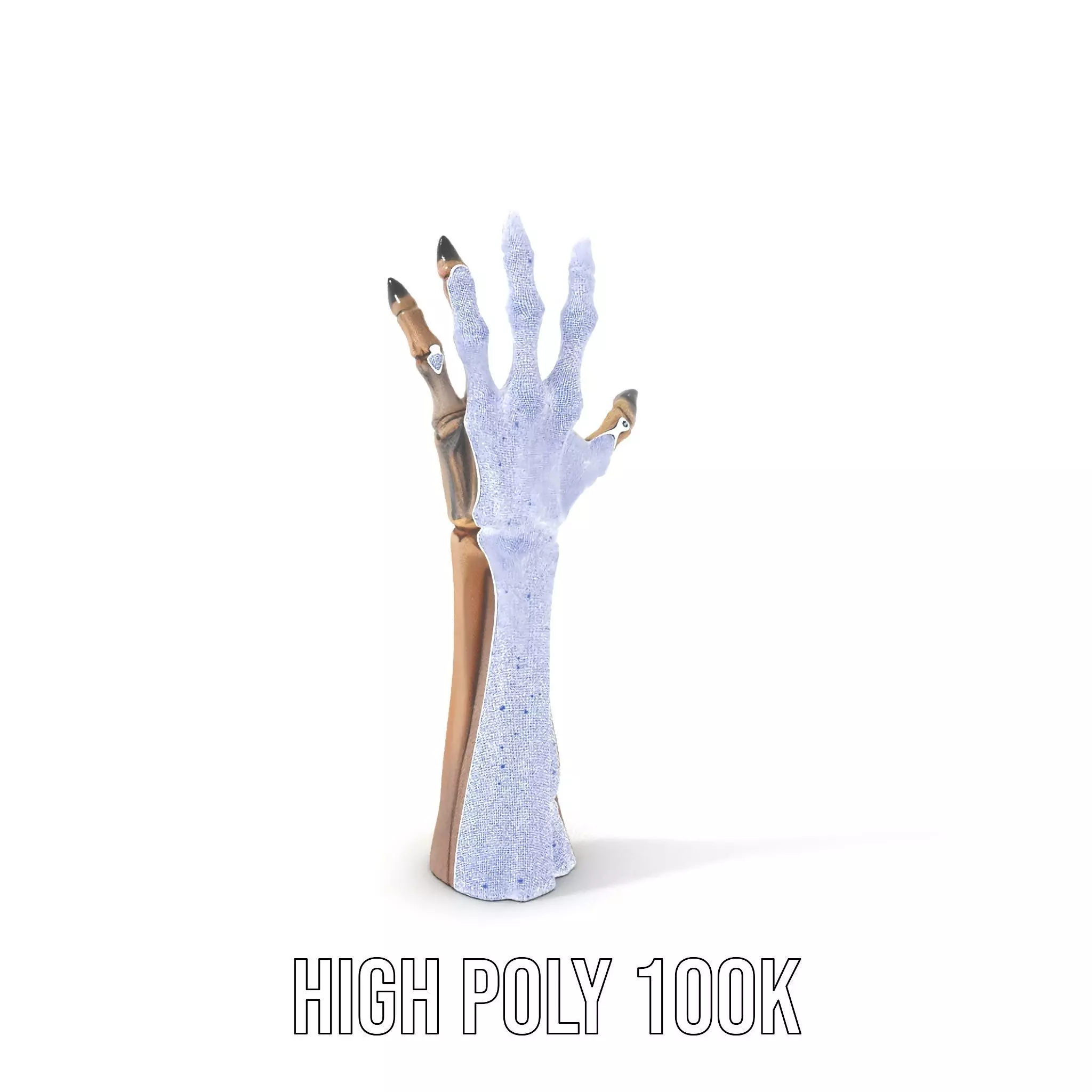 Skeletal Hand Claw Model Pack Low-poly 3D model_4