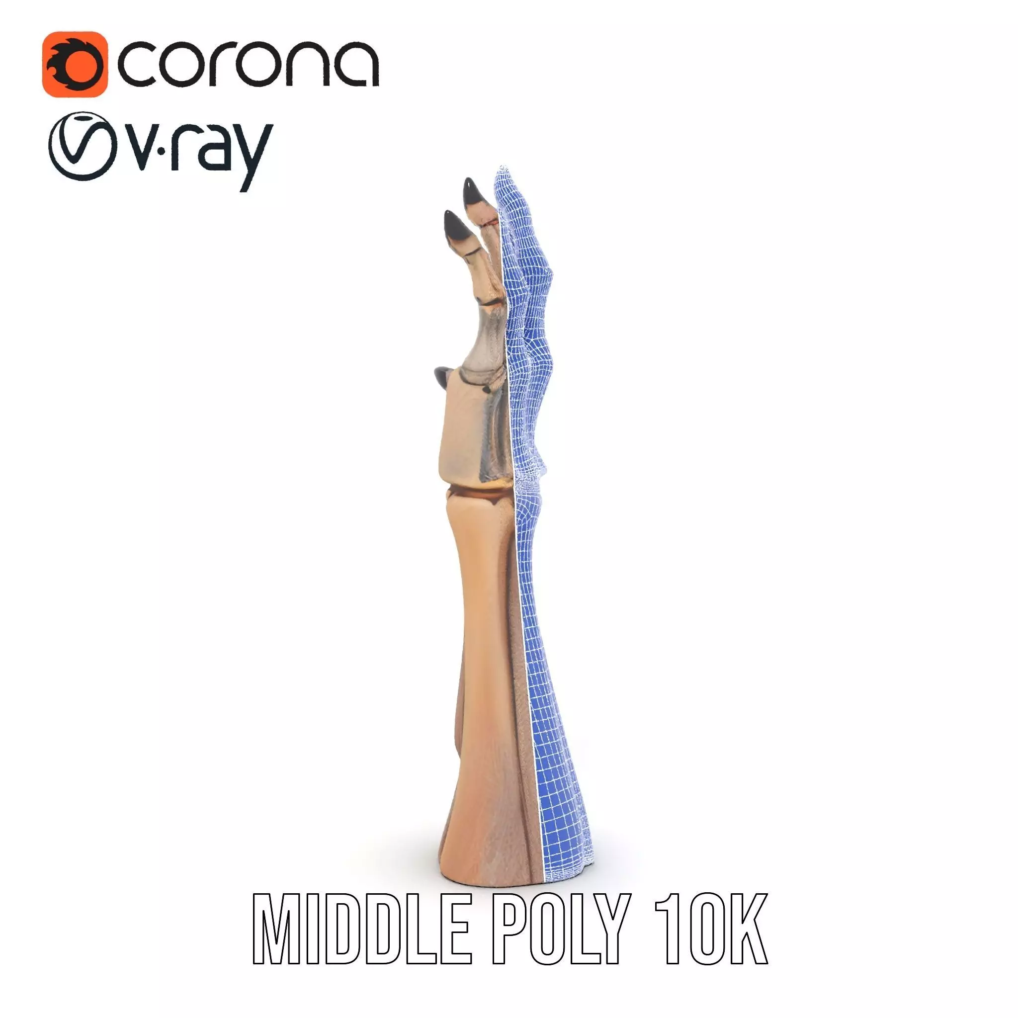 Skeletal Hand Claw Model Pack Low-poly 3D model_29