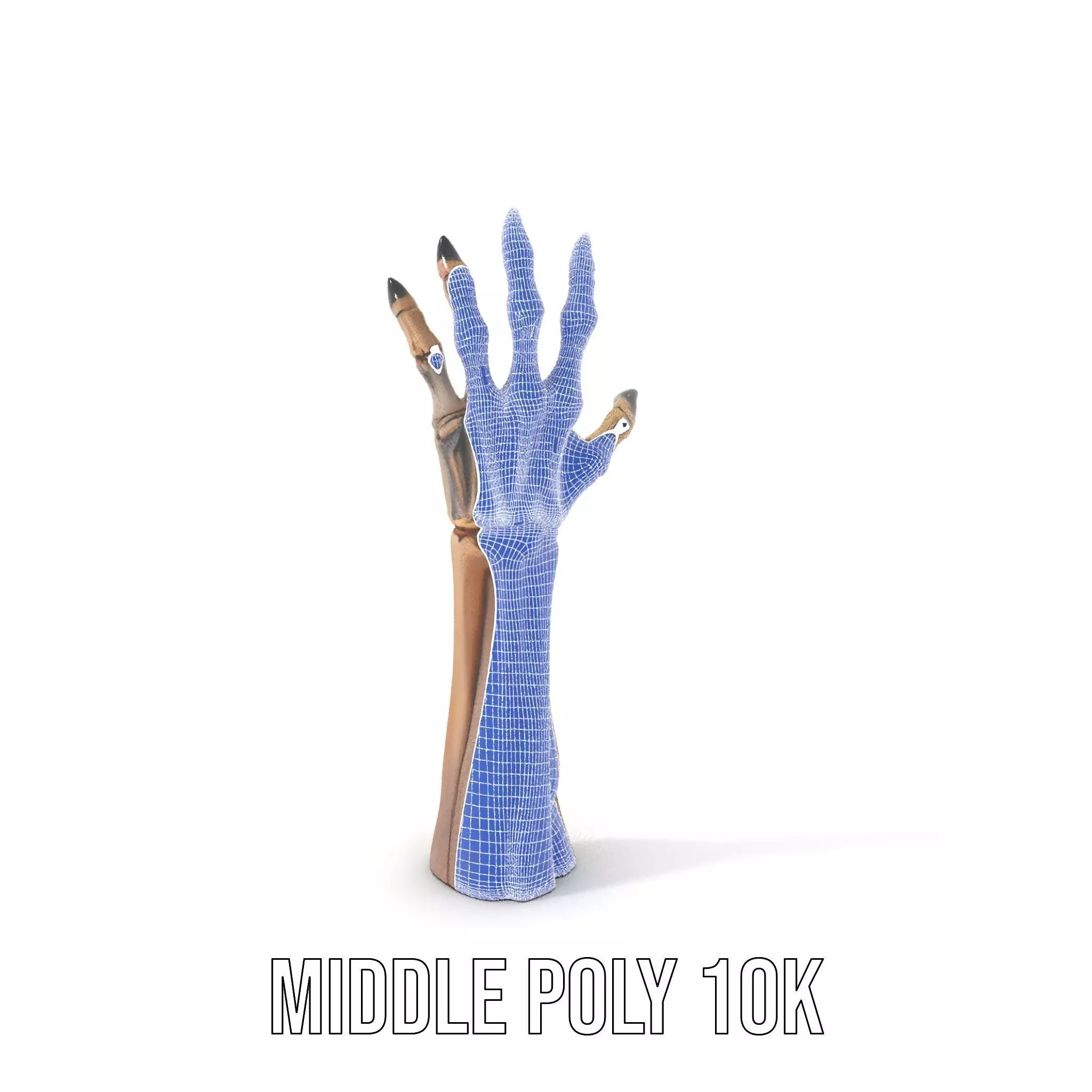Skeletal Hand Claw Model Pack Low-poly 3D model_21
