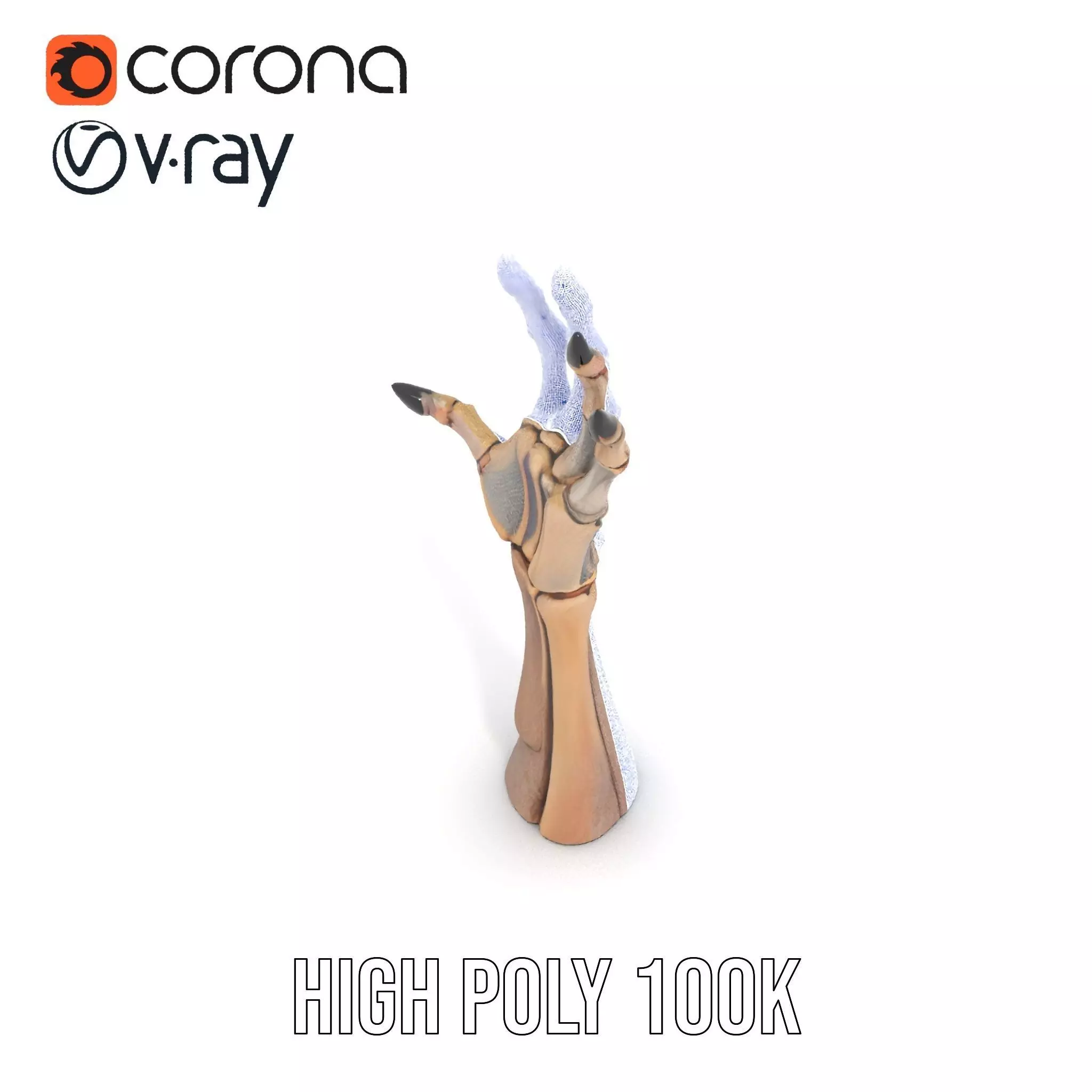 Skeletal Hand Claw Model Pack Low-poly 3D model_32