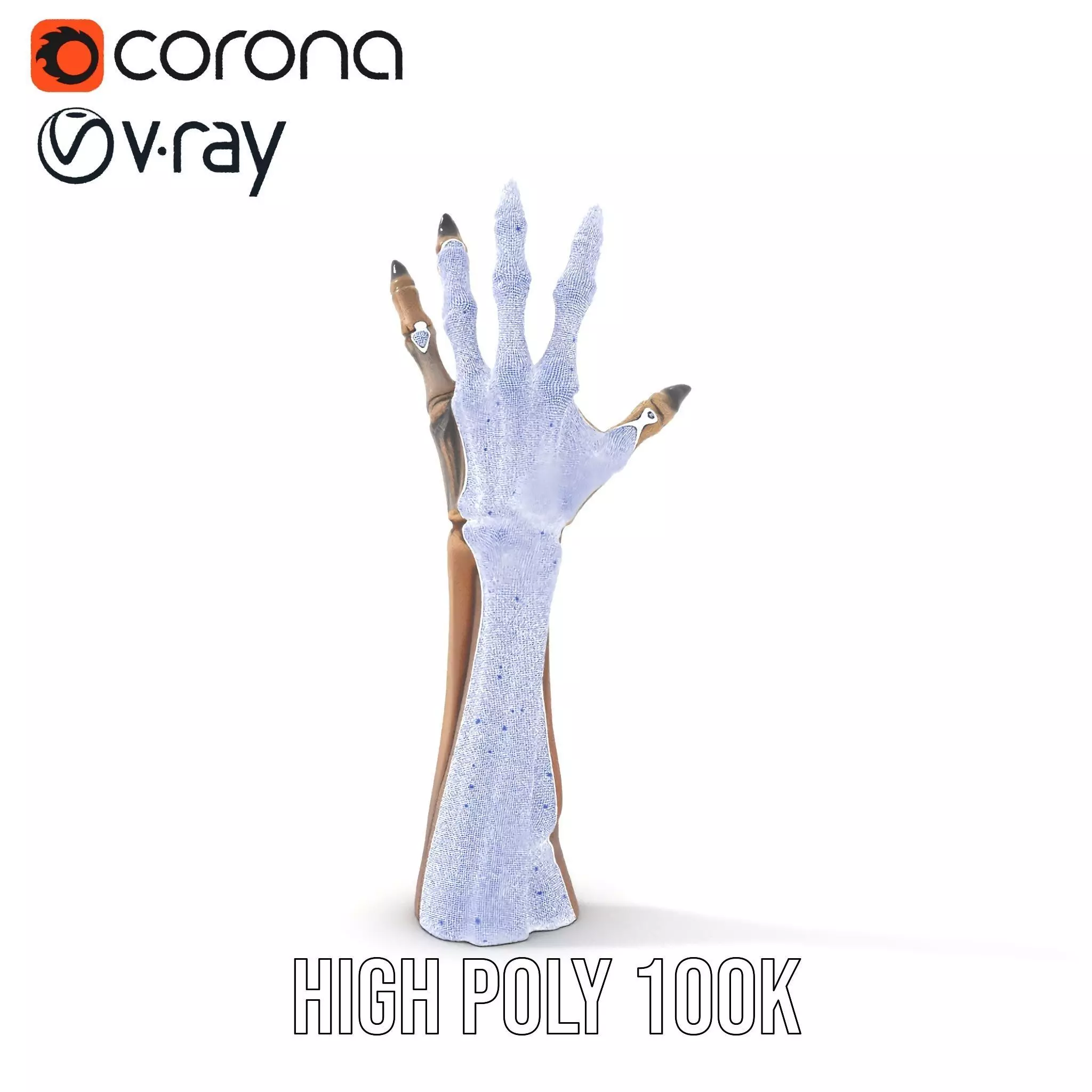 Skeletal Hand Claw Model Pack Low-poly 3D model_23