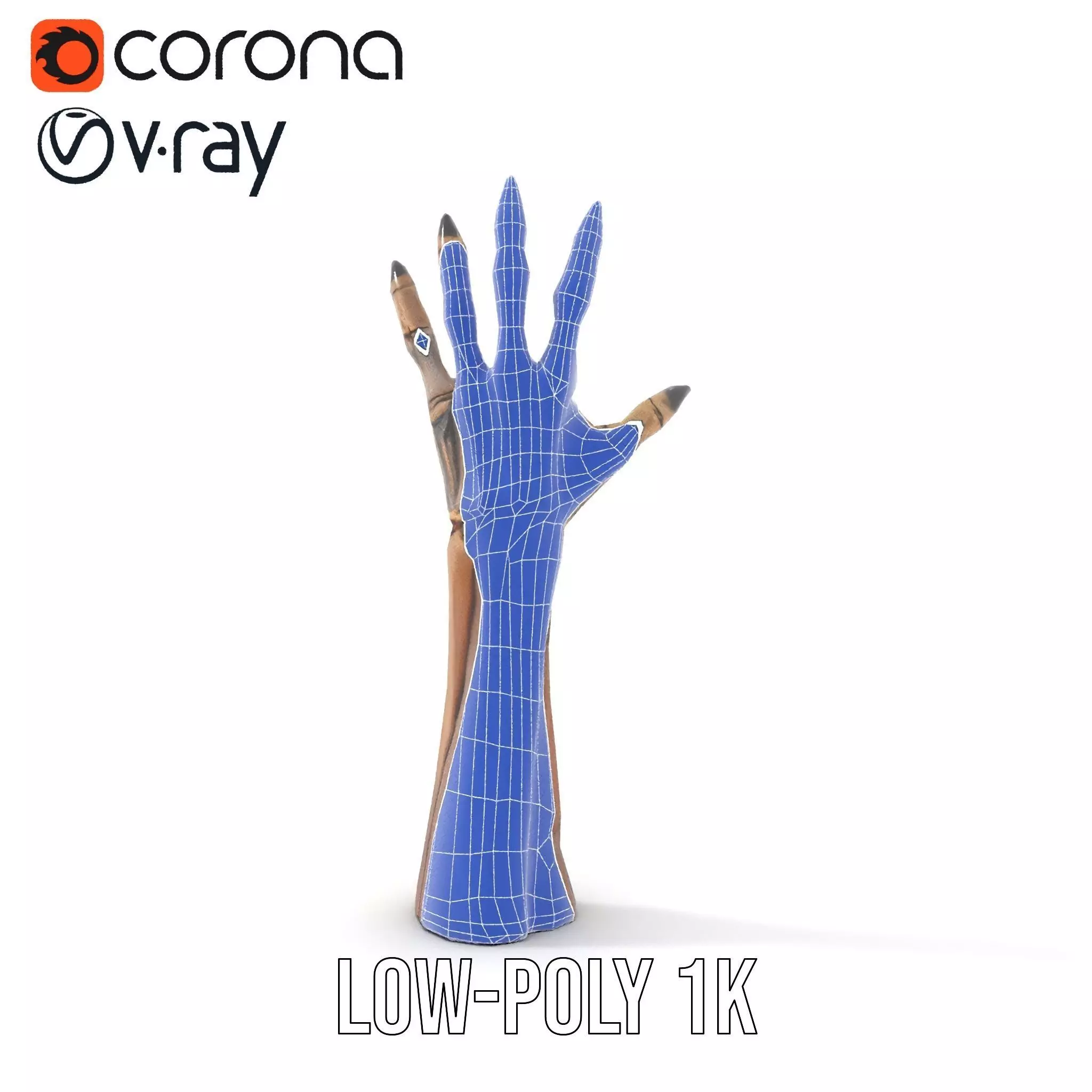 Skeletal Hand Claw Model Pack Low-poly 3D model_25