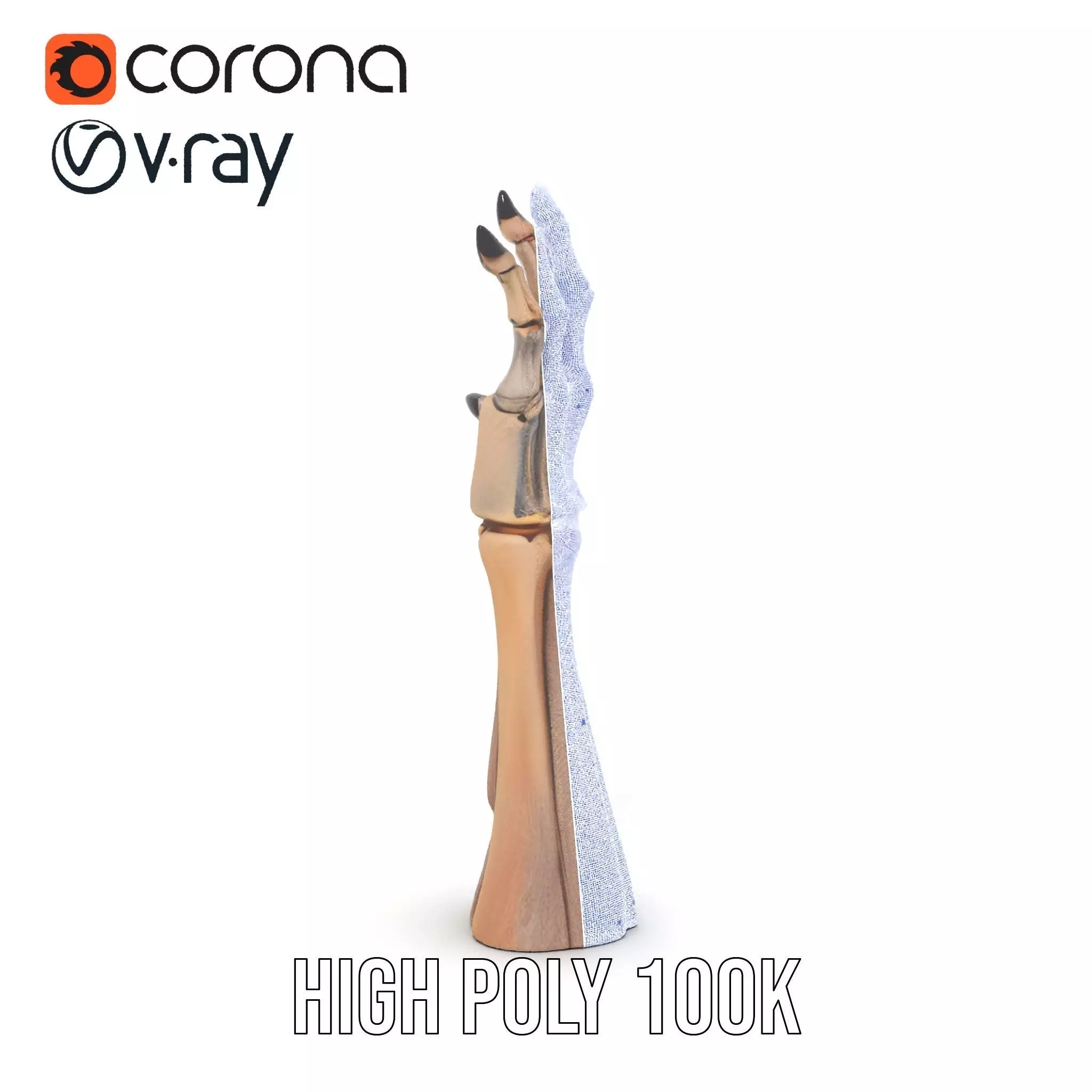 Skeletal Hand Claw Model Pack Low-poly 3D model_17