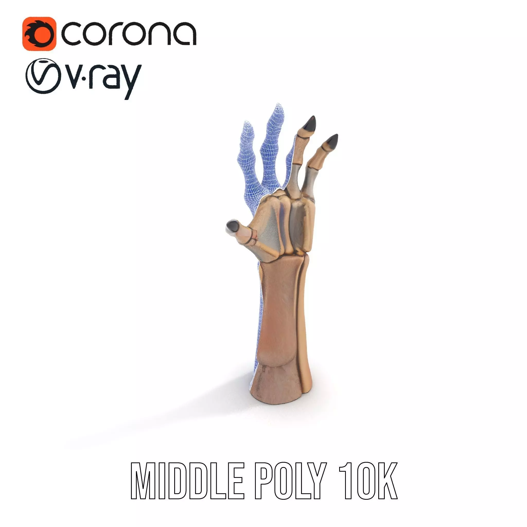 Skeletal Hand Claw Model Pack Low-poly 3D model_15