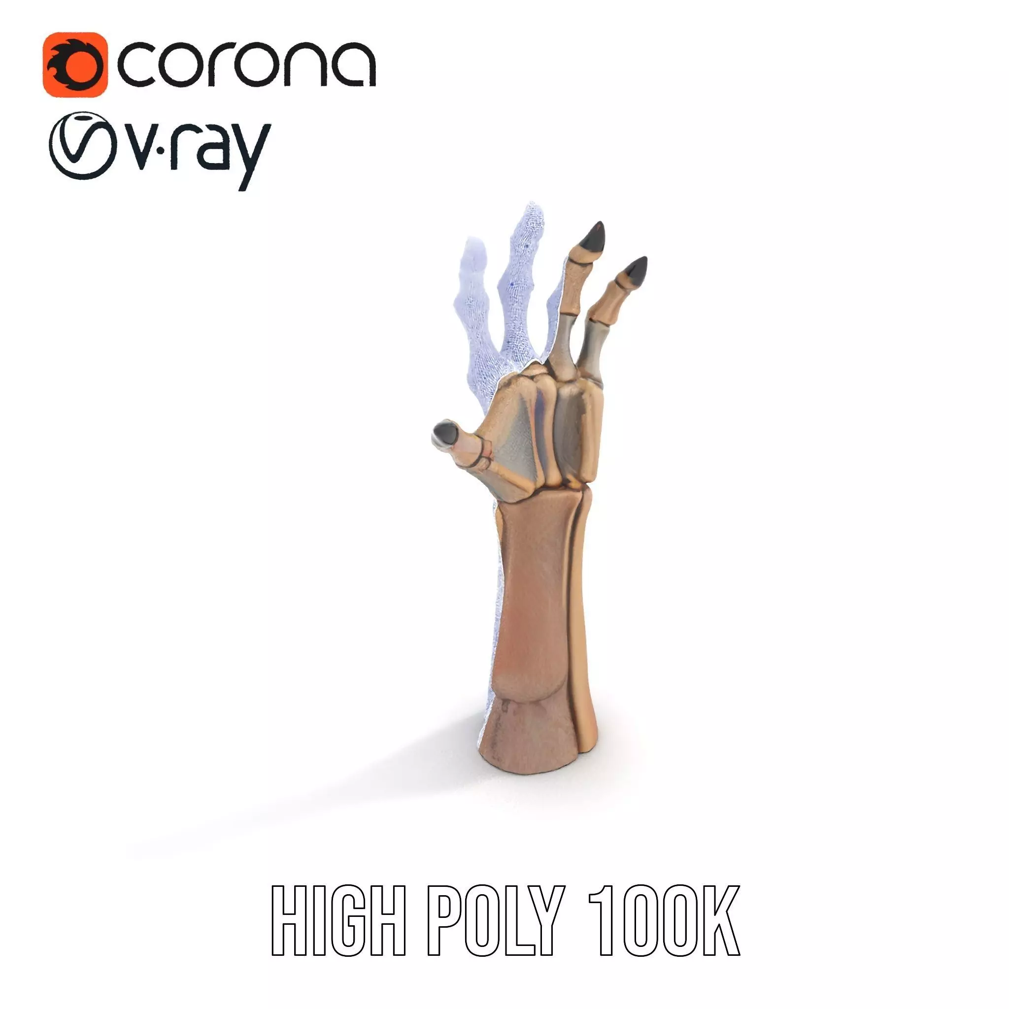 Skeletal Hand Claw Model Pack Low-poly 3D model_31