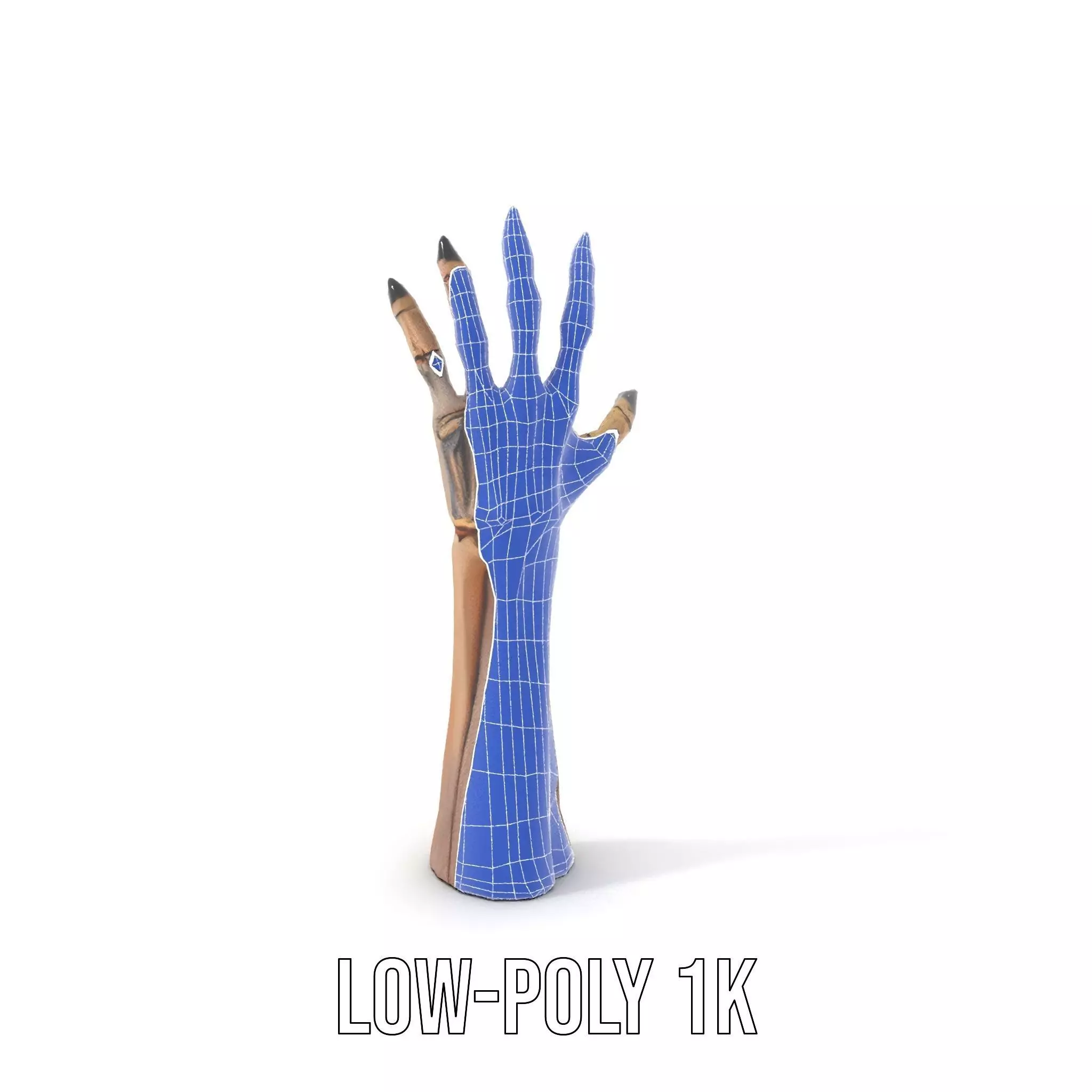 Skeletal Hand Claw Model Pack Low-poly 3D model_28