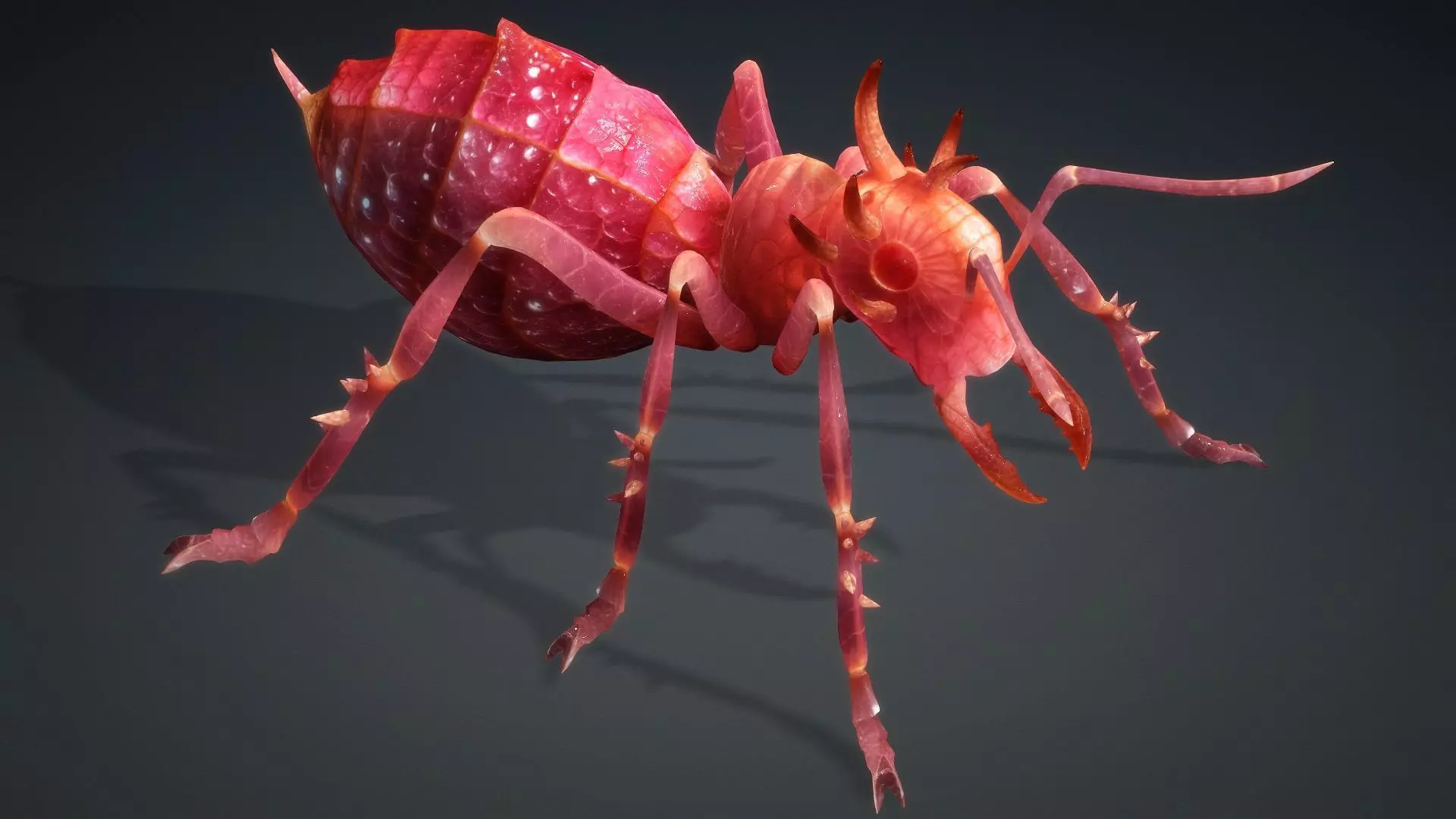 Ant-V4a 3D model_11