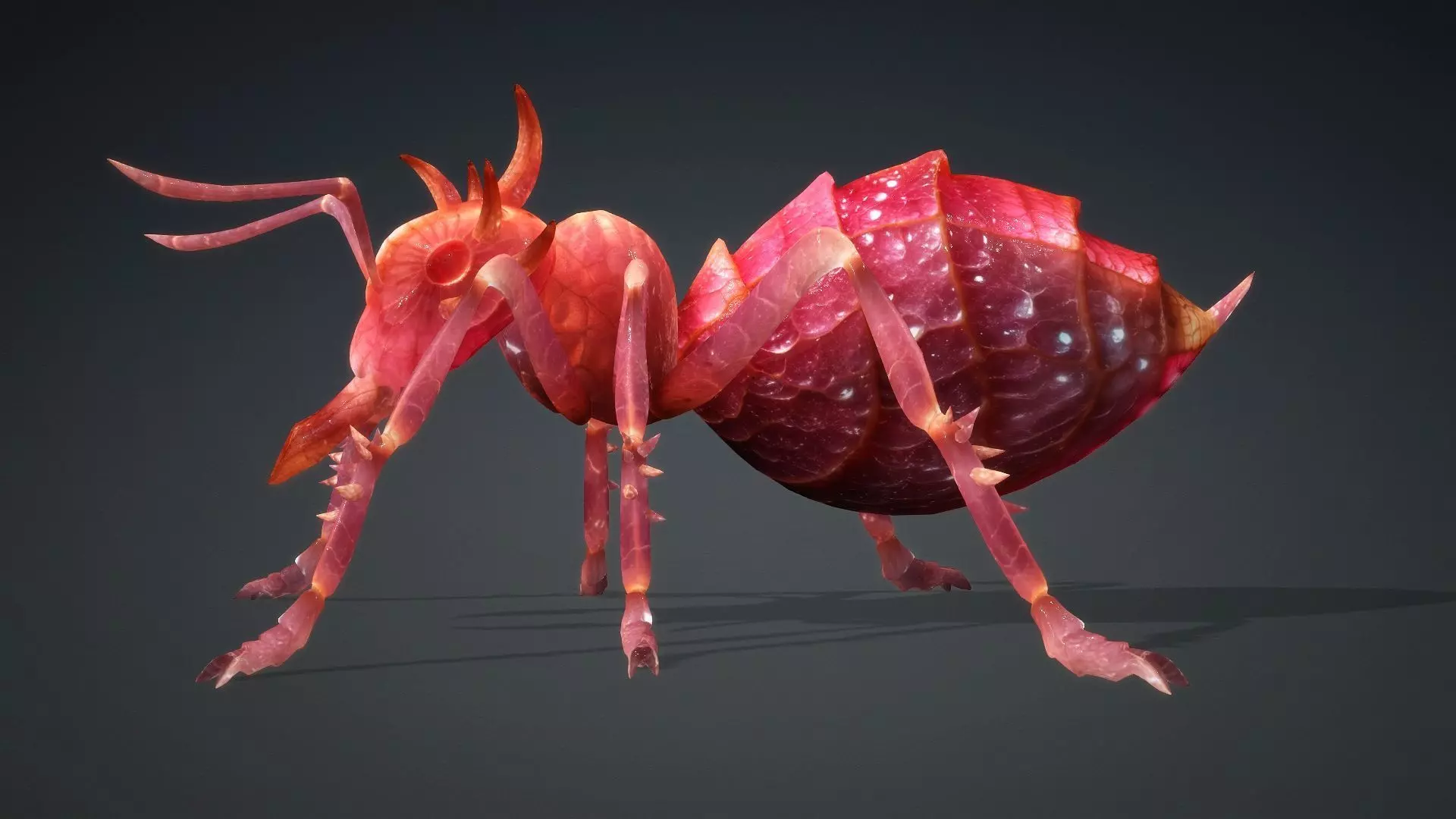 Ant-V4a 3D model_3