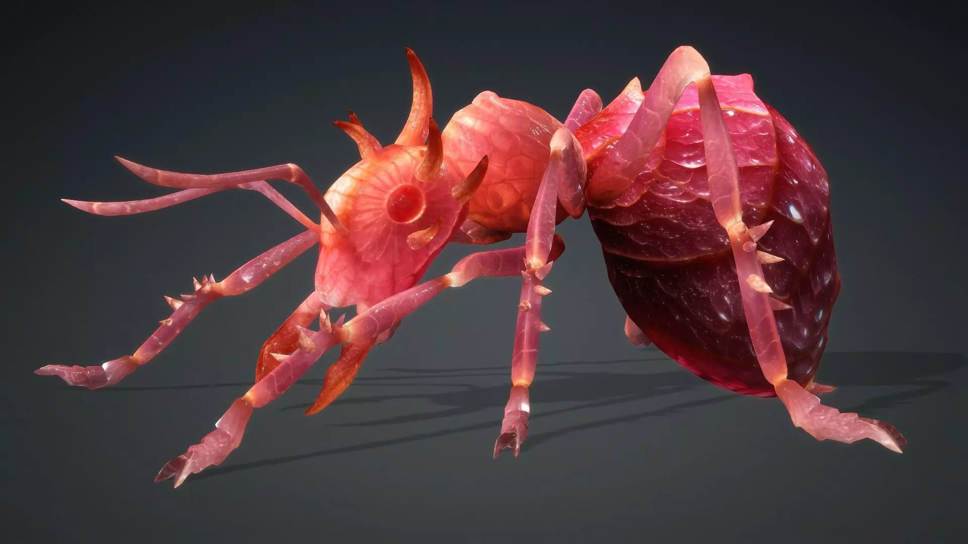 Ant-V4a 3D model_14