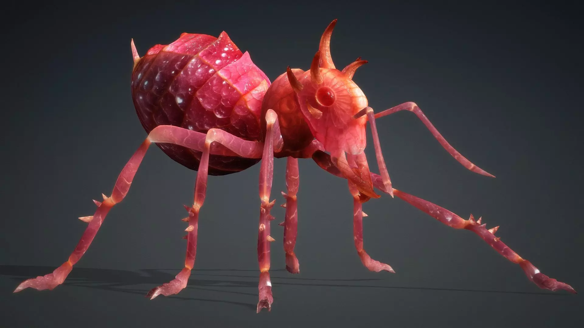 Ant-V4a 3D model_15
