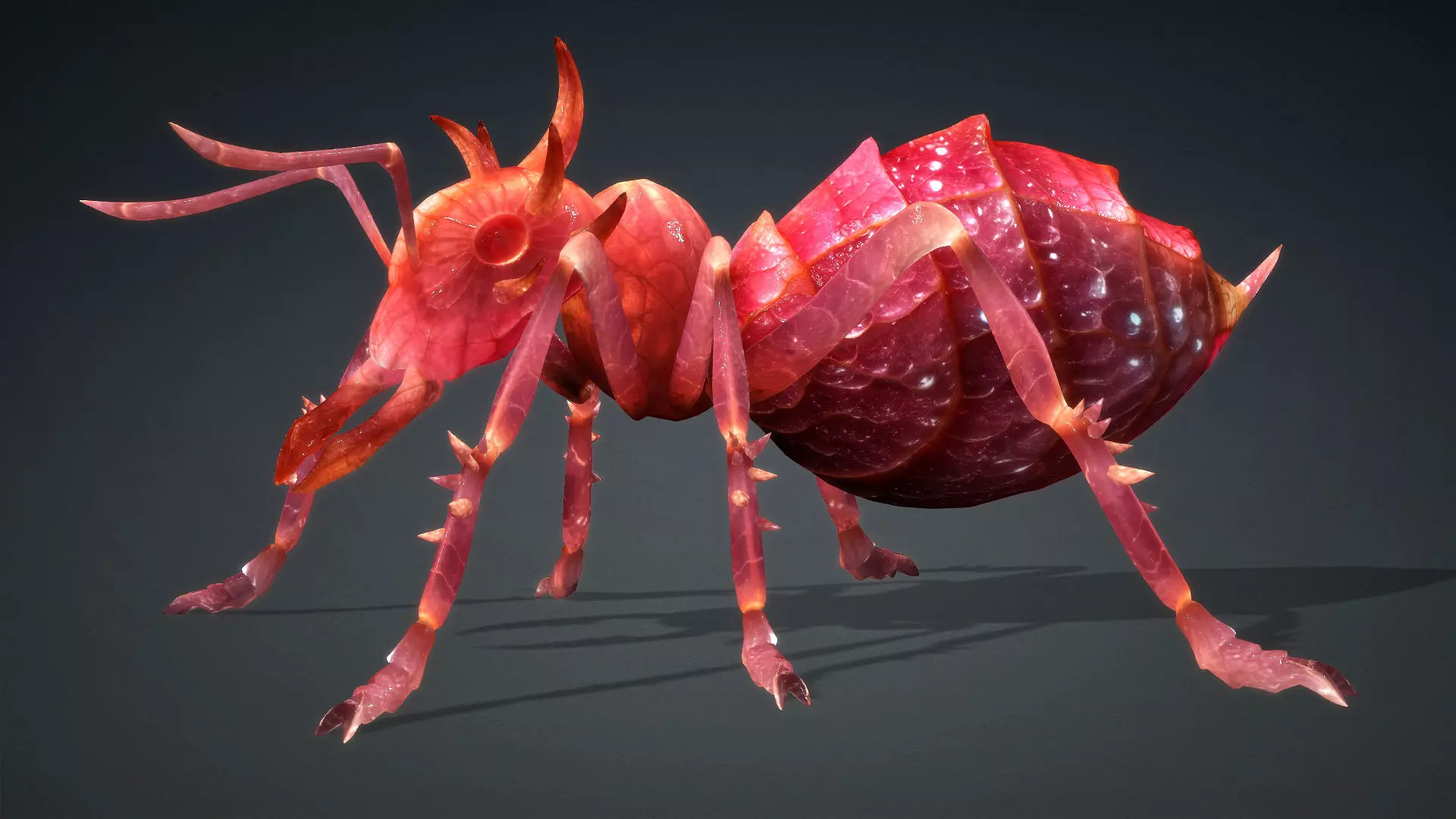 Ant-V4a 3D model_2