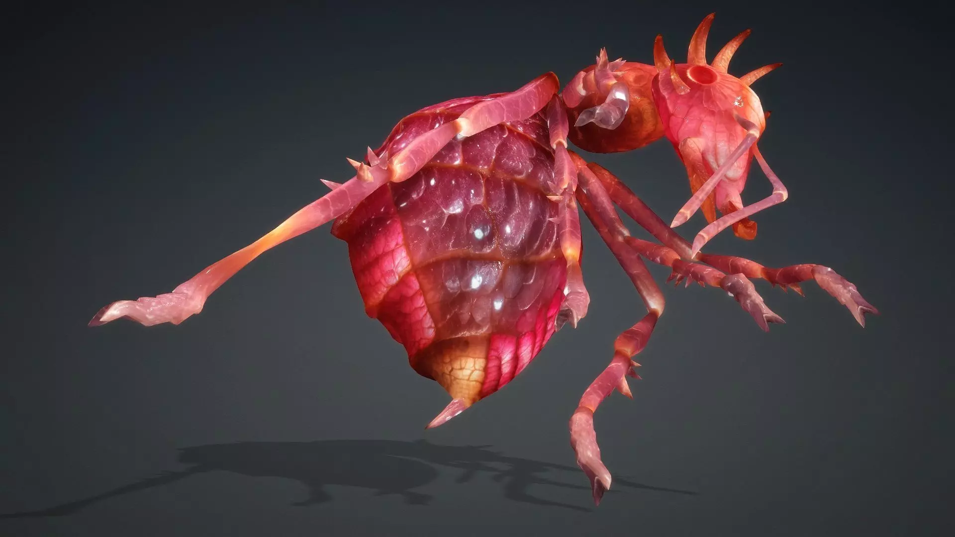 Ant-V4a 3D model_6