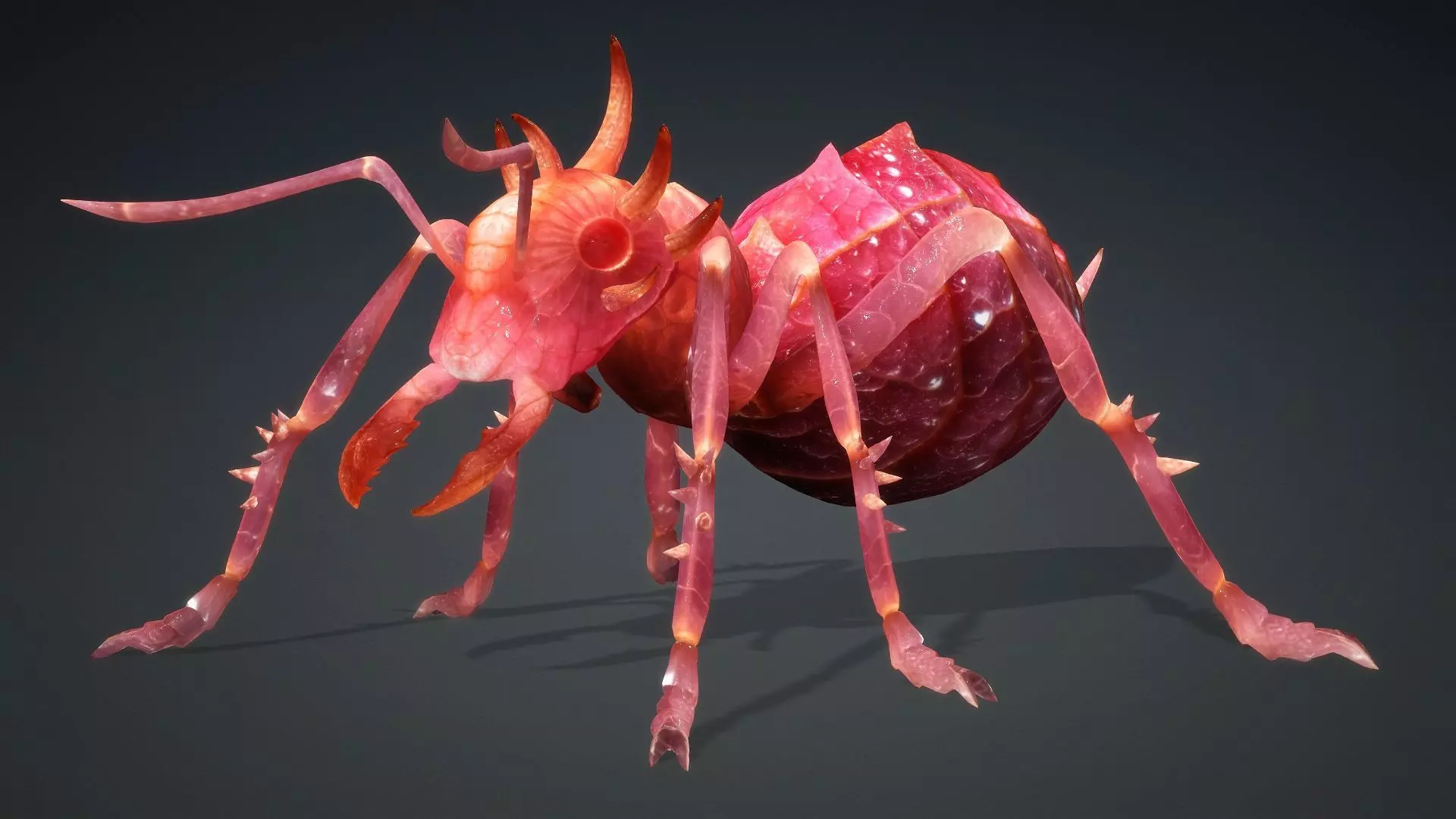 Ant-V4a 3D model_10