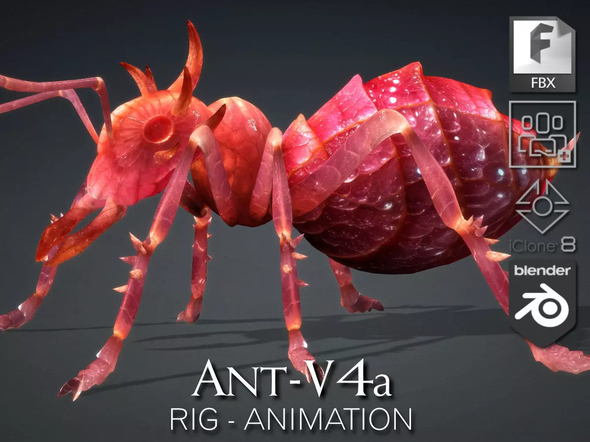 Ant-V4a 3D model_0